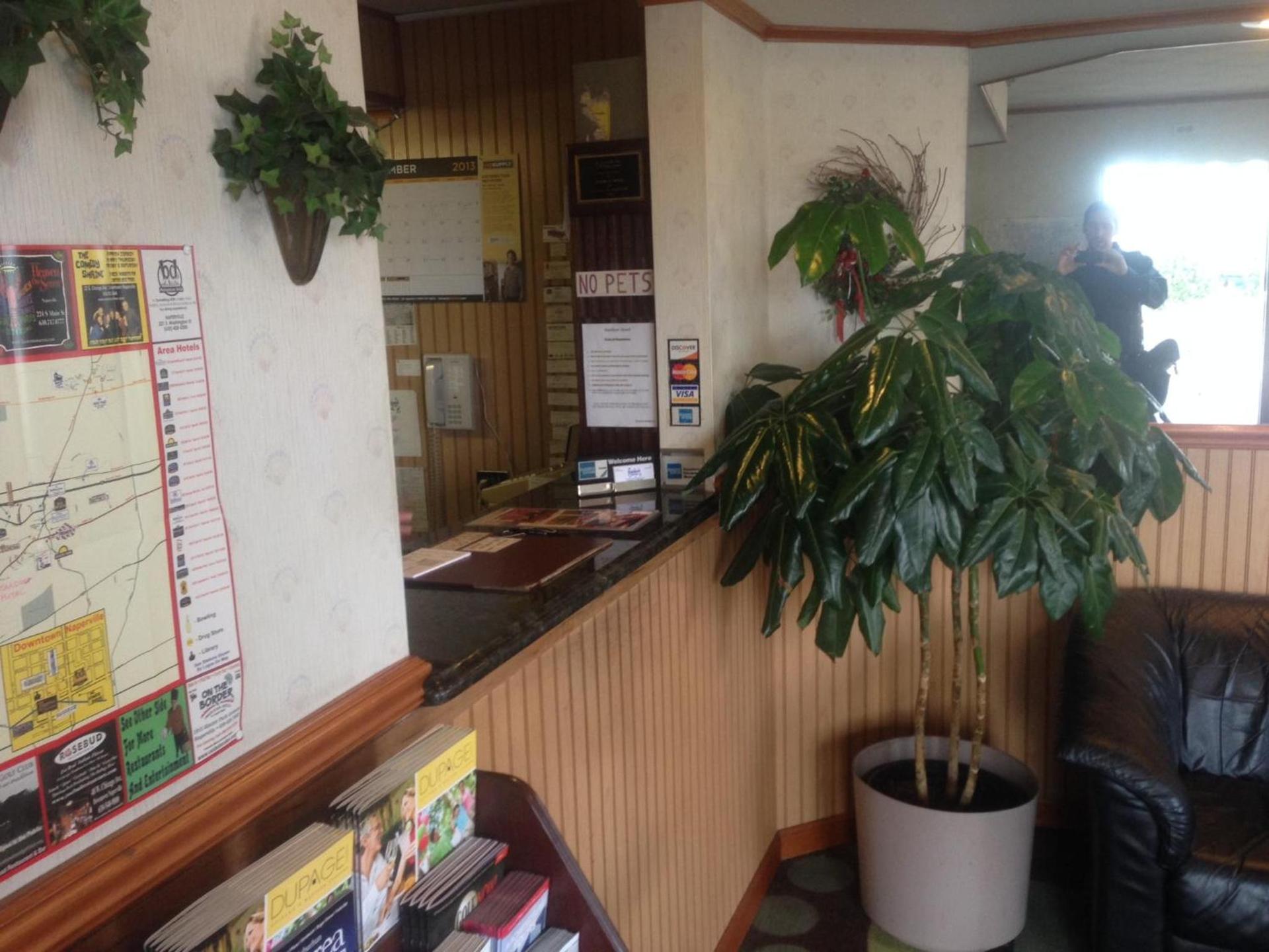 Stardust Motel photo 19