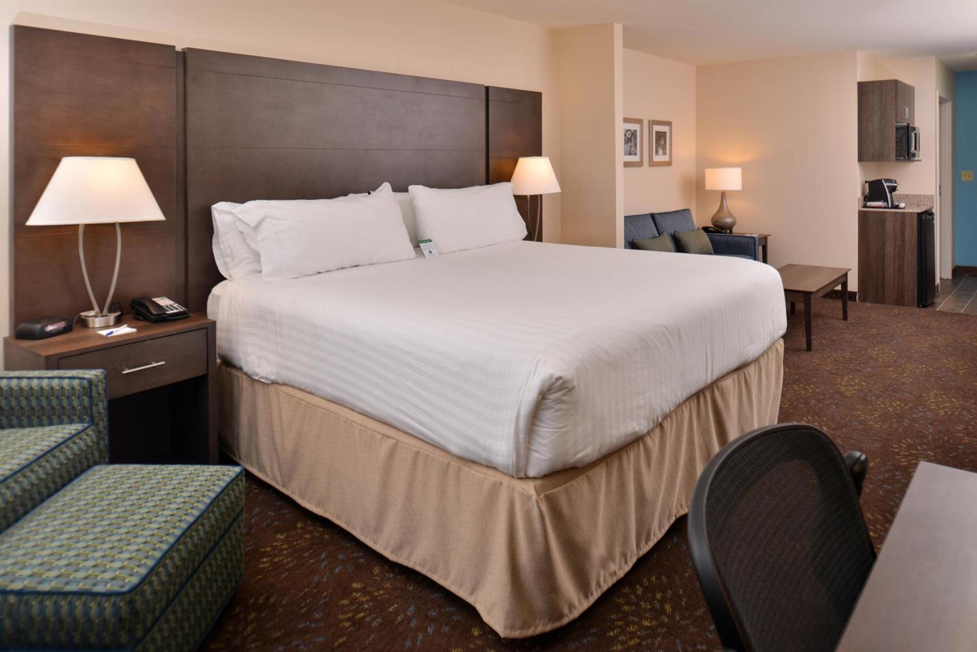 Holiday Inn Express & Suites Dearborn SW - Detroit Area by IHG photo 8