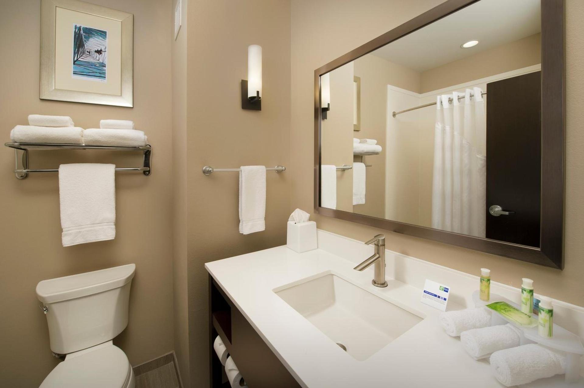Holiday Inn Express Hotel & Suites Waco South by IHG photo 33