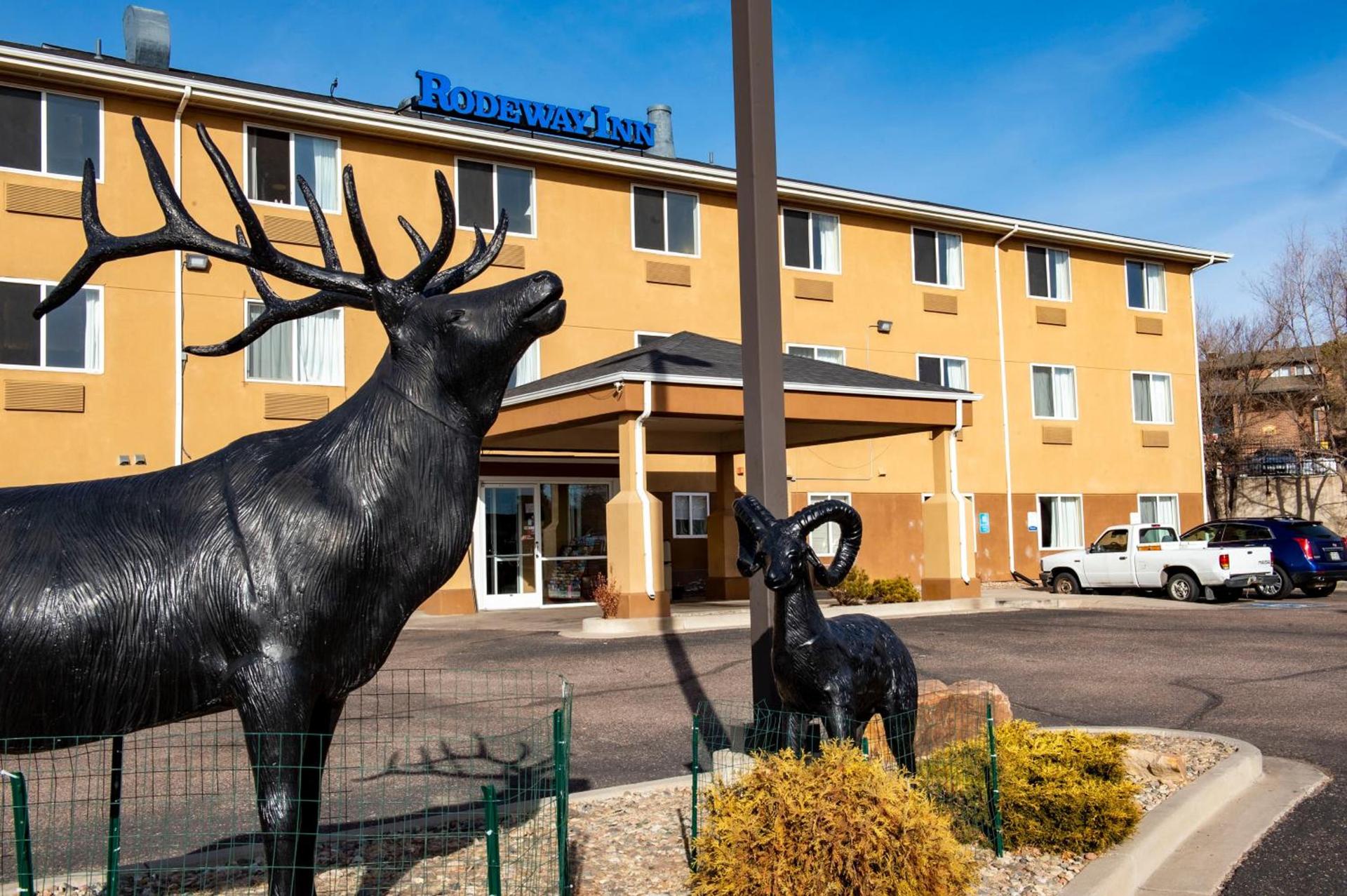 Rodeway Inn Central Colorado Springs photo 6