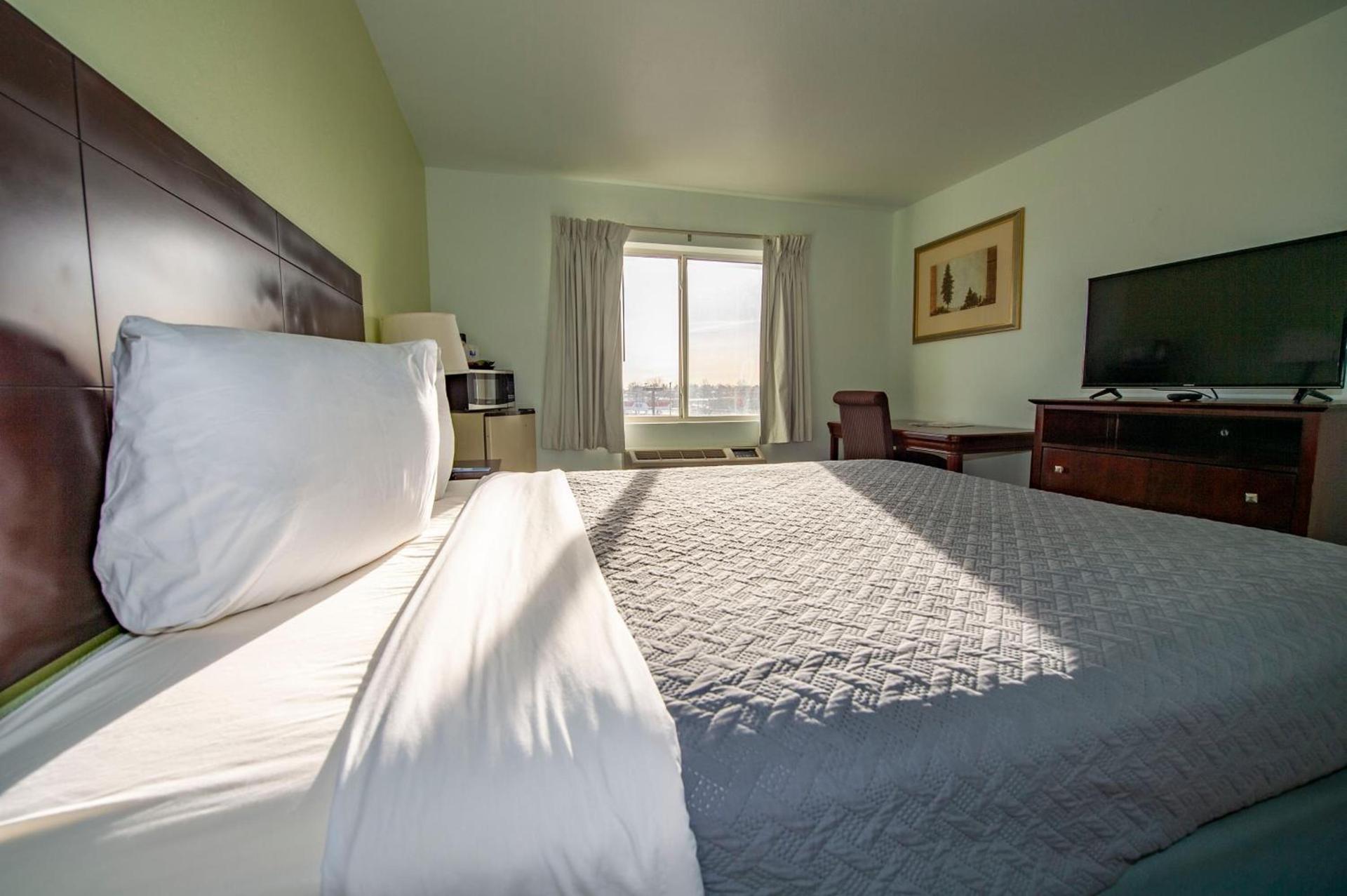 Rodeway Inn Central Colorado Springs photo 5