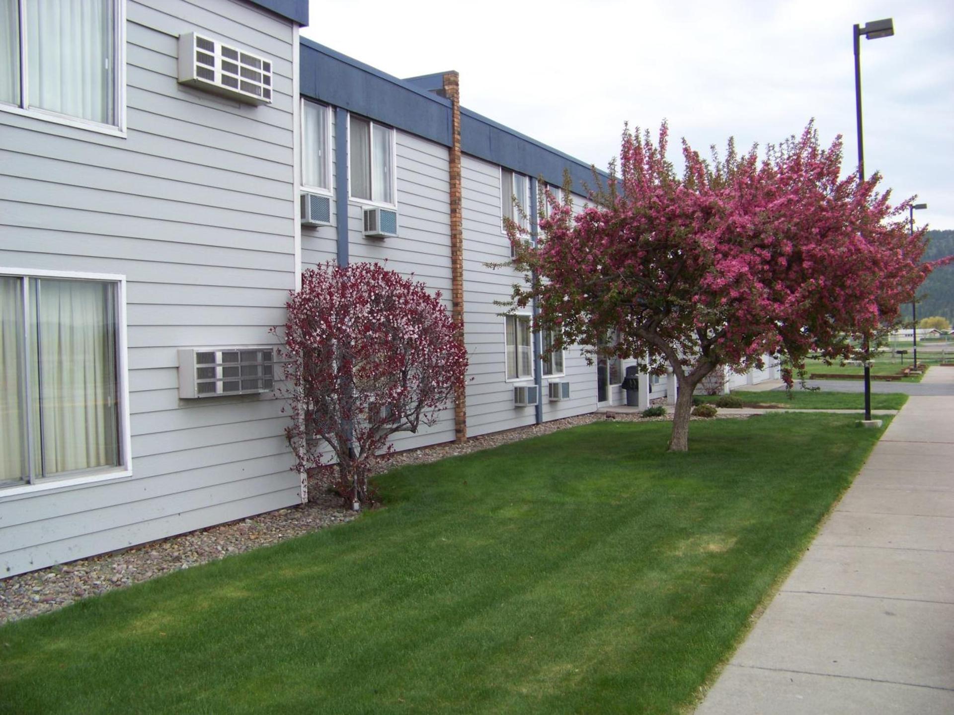 Aero Inn photo 4