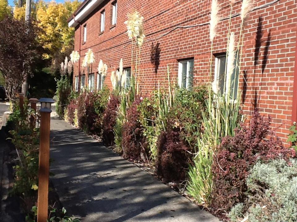 Portland Pensione photo 3