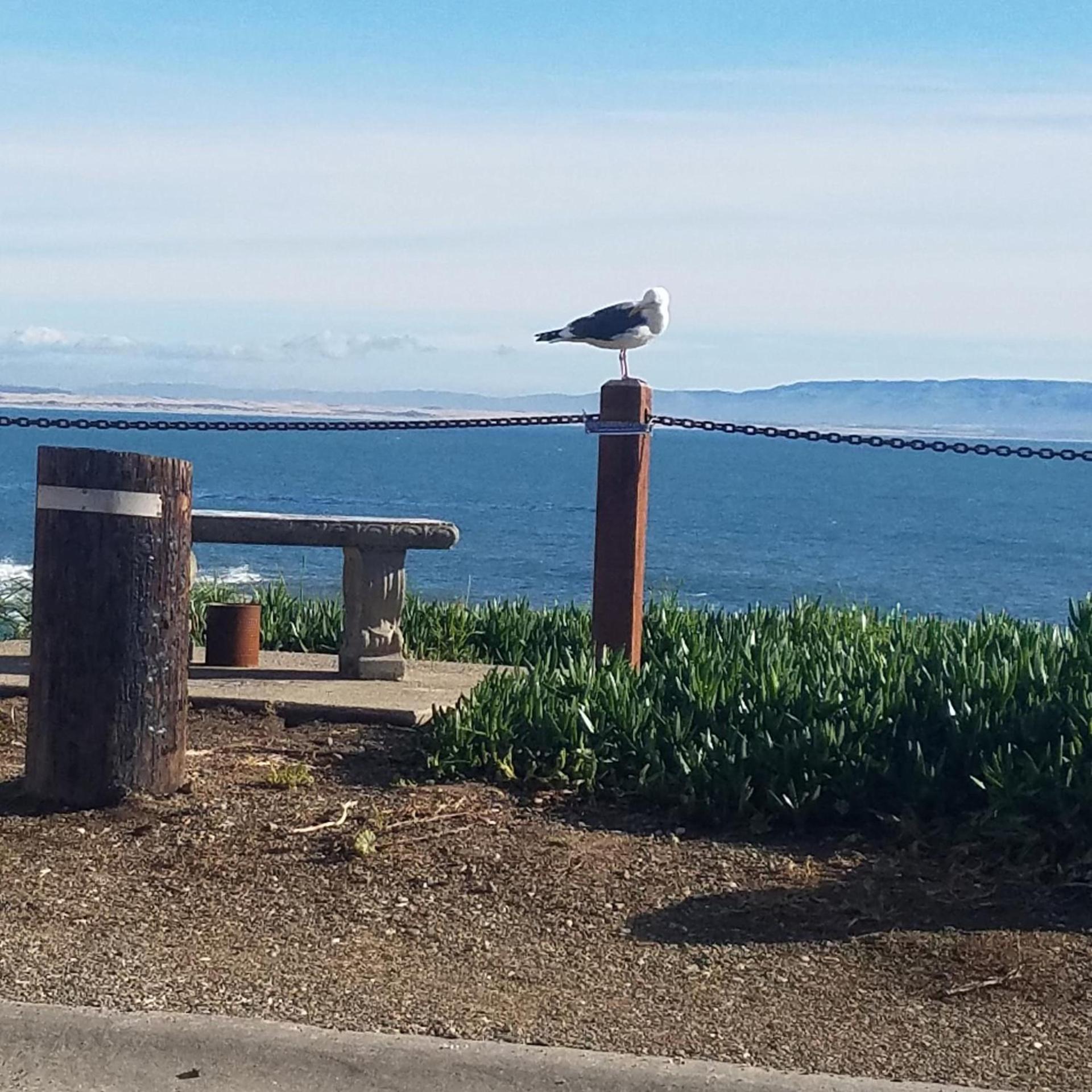 Shell Beach Inn photo 26