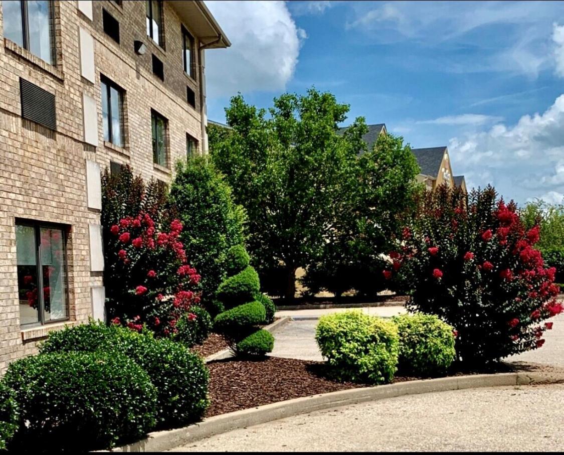 Ramada Limited - Mount Sterling photo 2