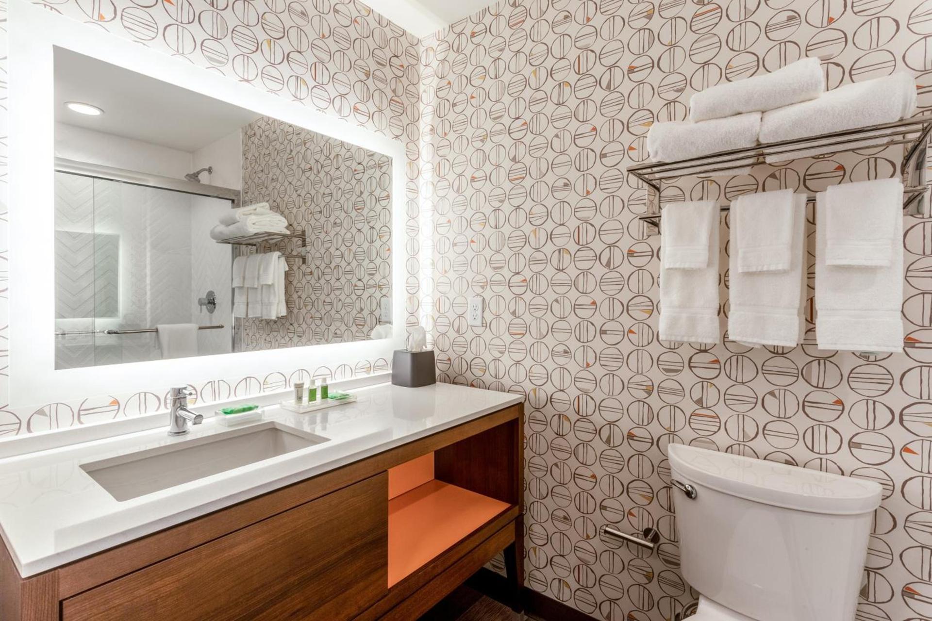 Holiday Inn & Suites Cedar Falls-Waterloo Event Ctr by IHG photo 34