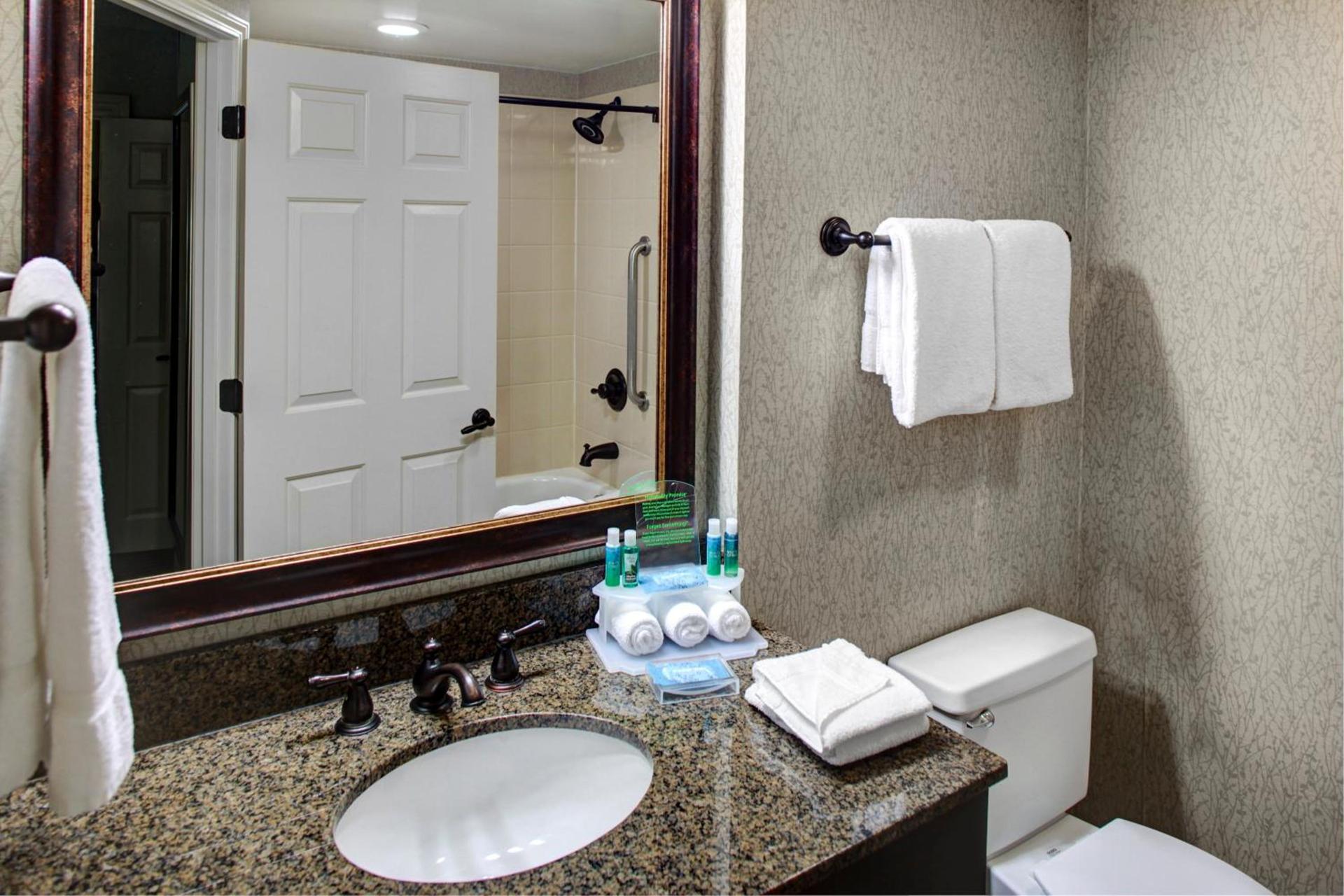 Holiday Inn Express Hotel & Suites Atlanta Buckhead by IHG photo 23