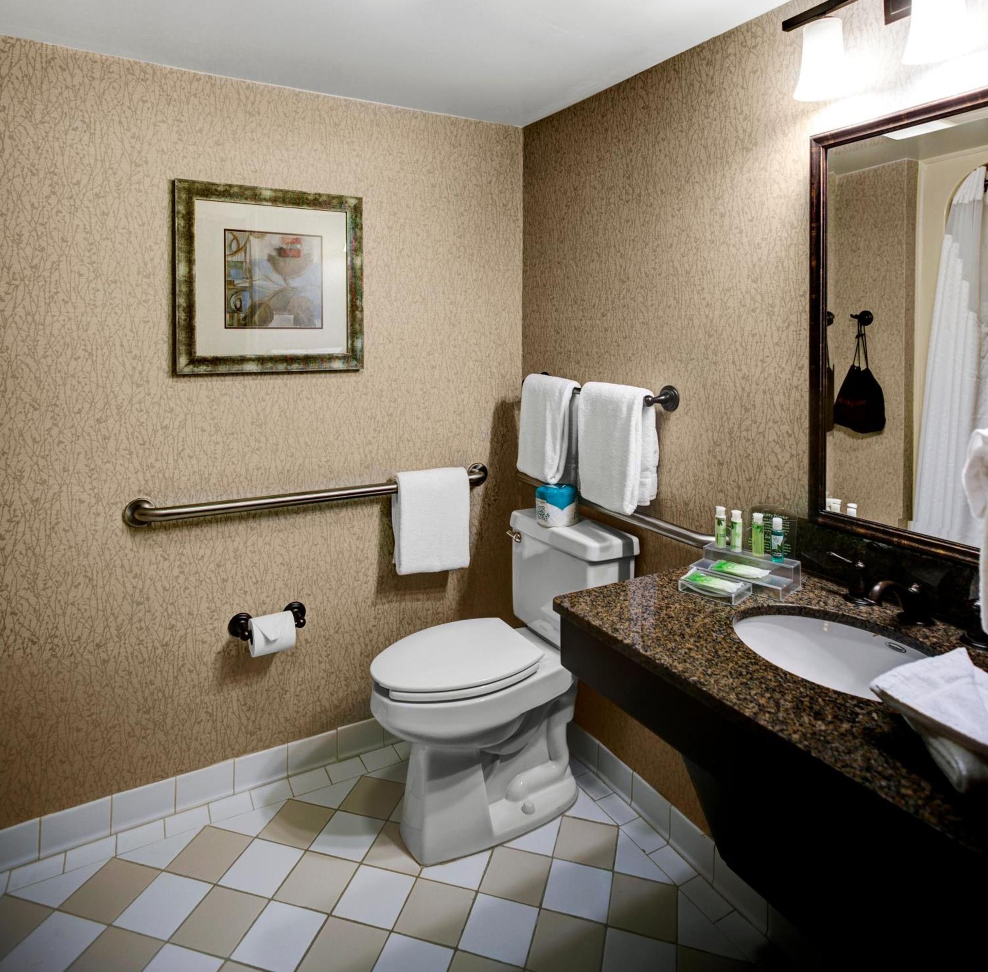 Holiday Inn Express Hotel & Suites Atlanta Buckhead by IHG photo 26