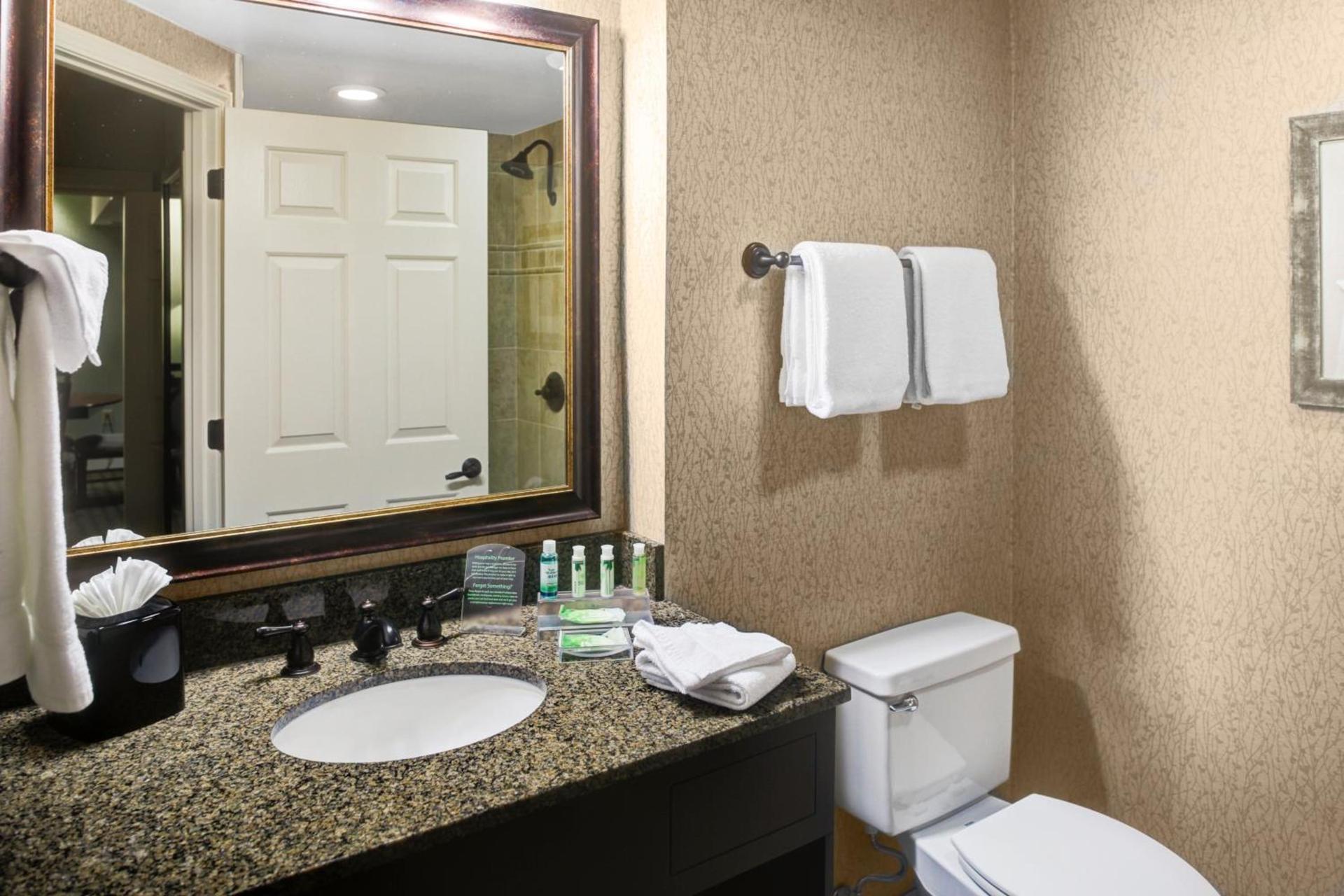 Holiday Inn Express Hotel & Suites Atlanta Buckhead by IHG photo 30