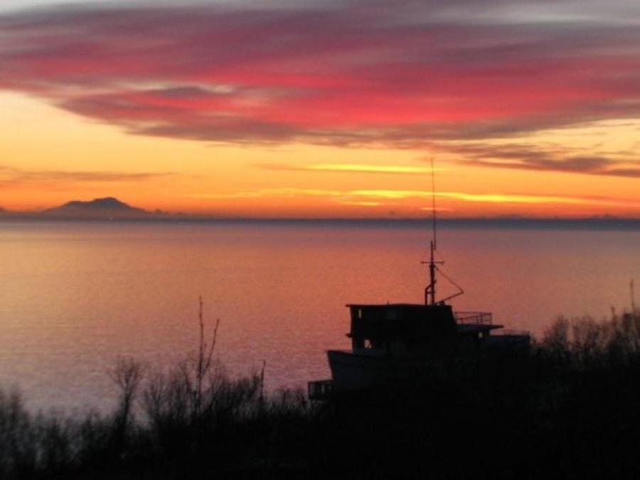 Alaska Adventure Cabins photo 15