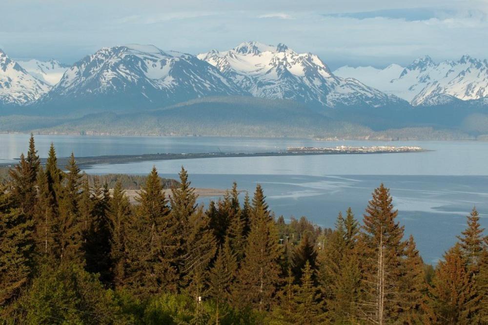 Alaska Adventure Cabins photo 5