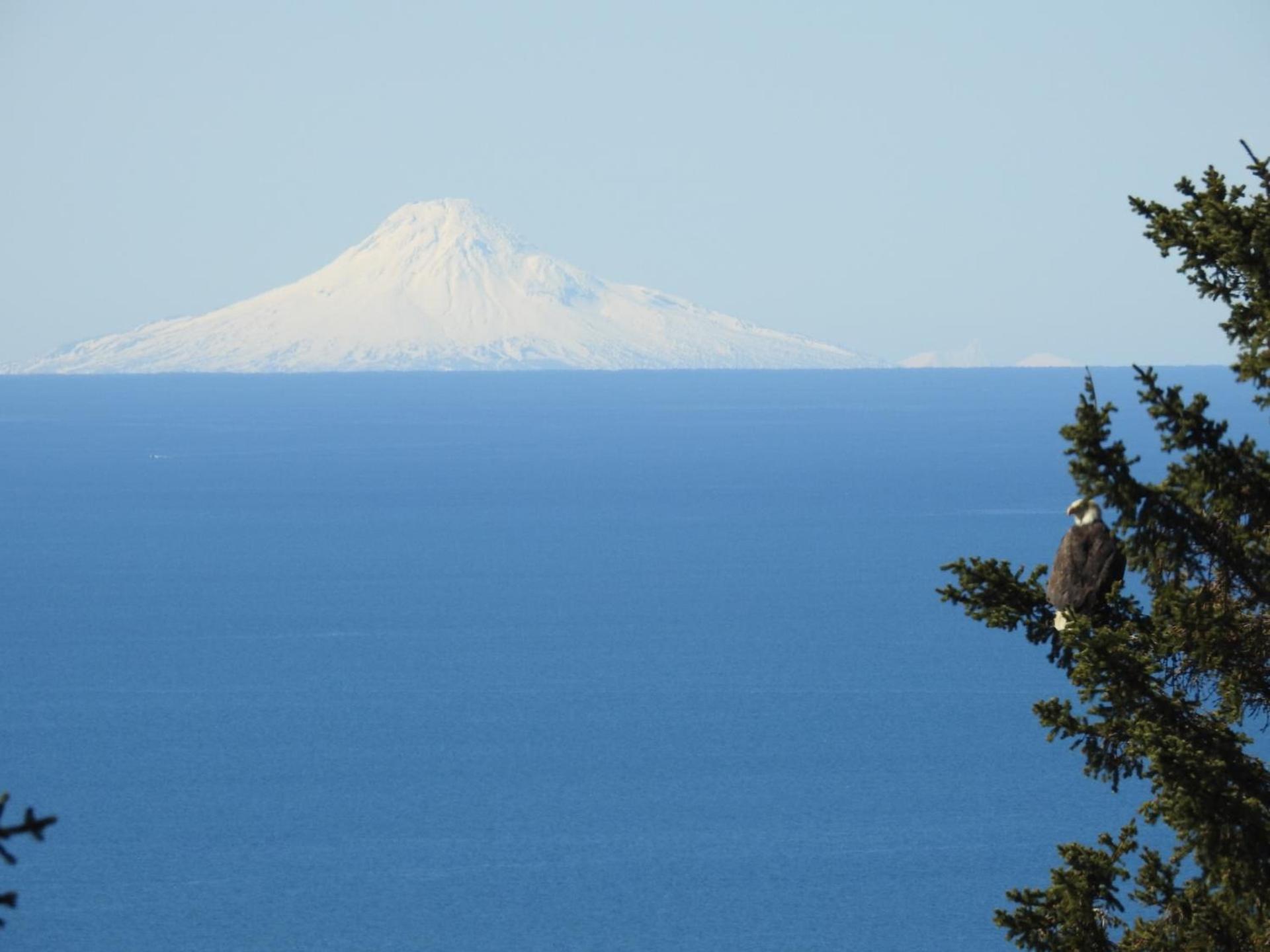 Alaska Adventure Cabins photo 6