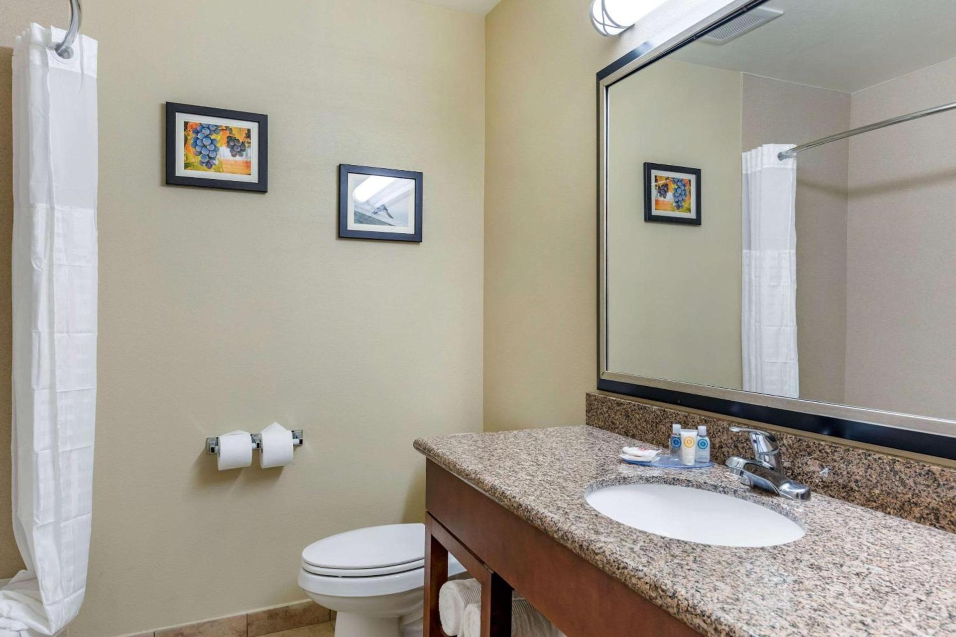 Comfort Inn & Suites San Bernardino photo 19