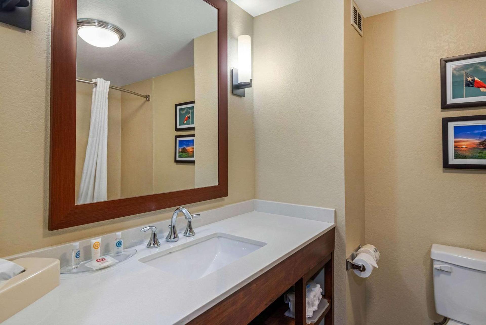 Comfort Inn & Suites Big Spring photo 20