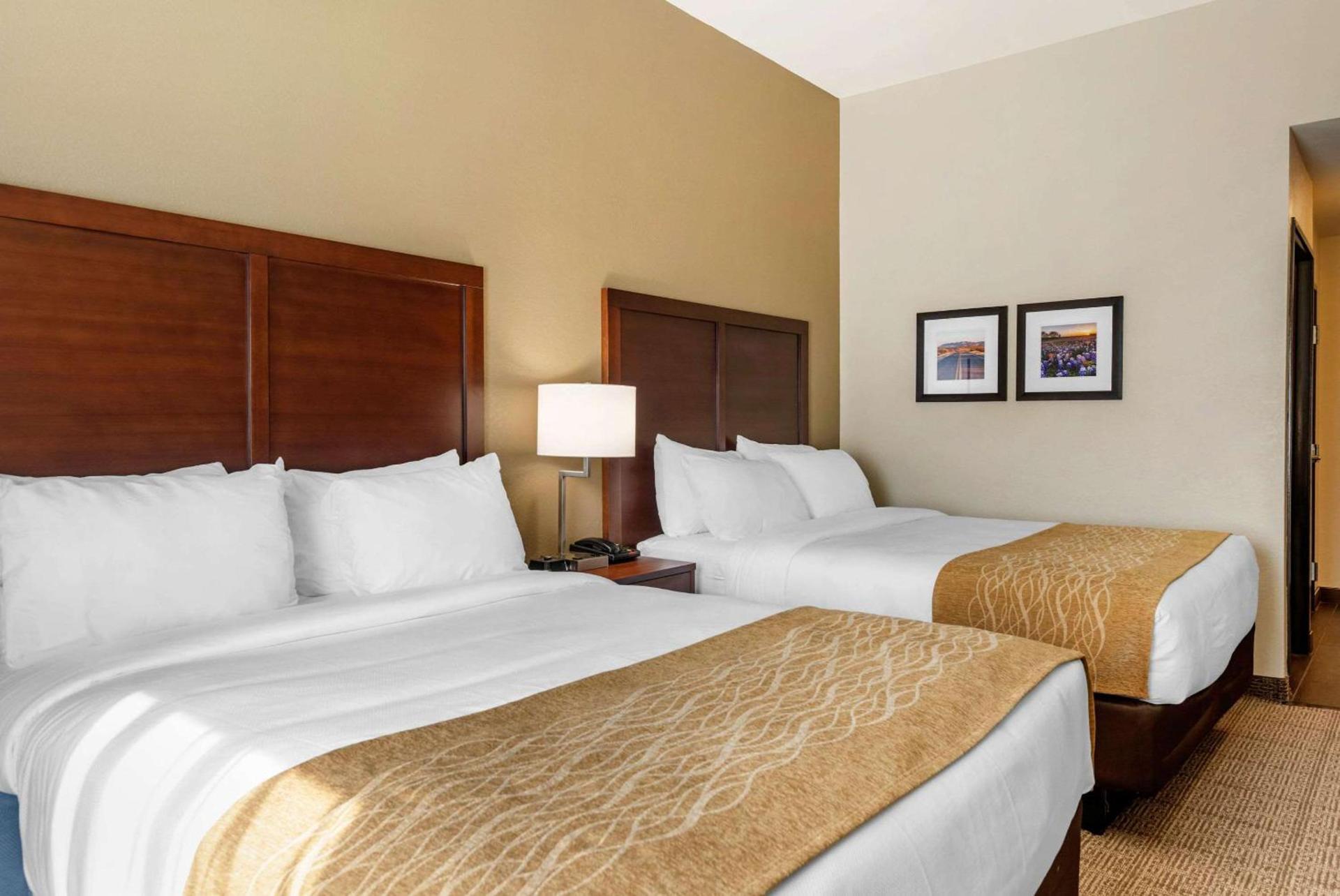 Comfort Inn & Suites Big Spring photo 10