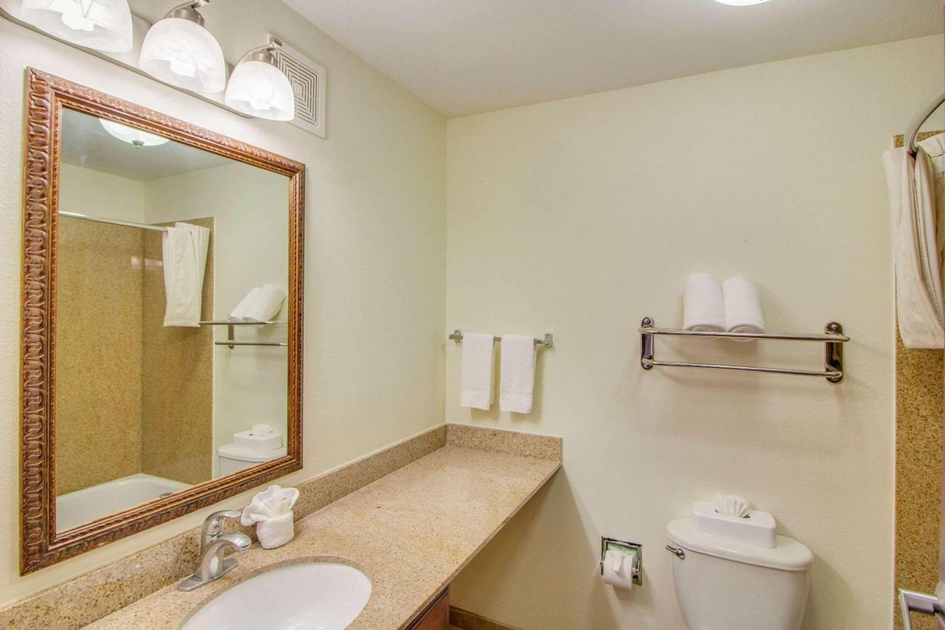 MainStay Suites Texas Medical Center-Reliant Park photo 24