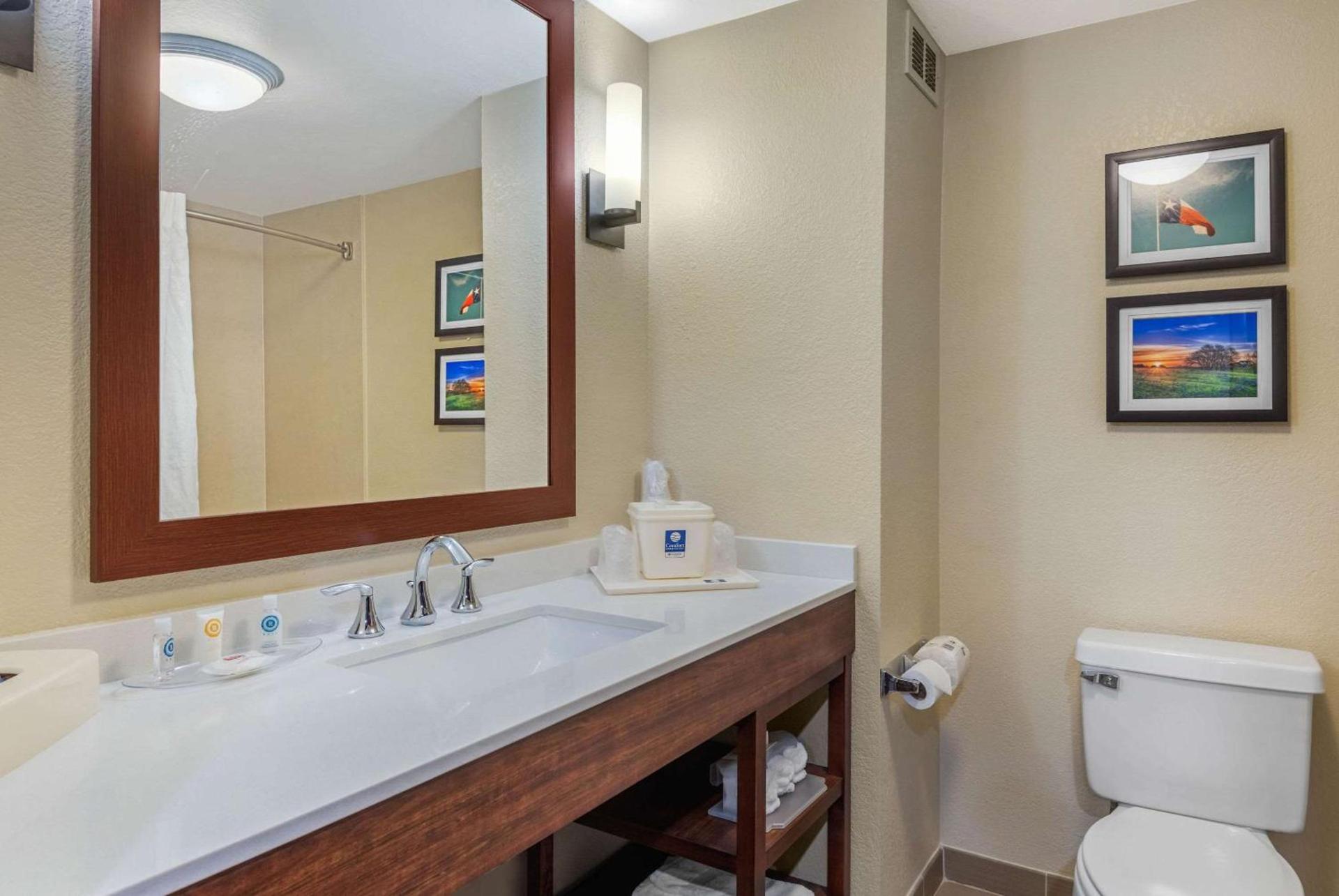 Comfort Inn & Suites Big Spring photo 21
