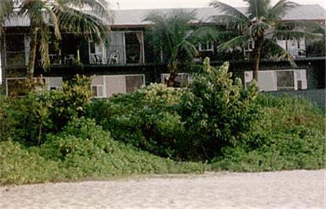 Backpackers Vacation Inn and Plantation Village photo 31