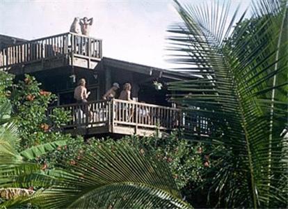 Backpackers Vacation Inn and Plantation Village photo 38
