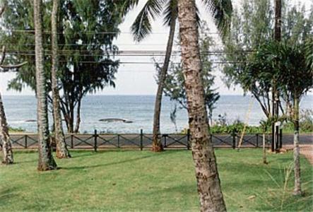 Backpackers Vacation Inn and Plantation Village photo 40