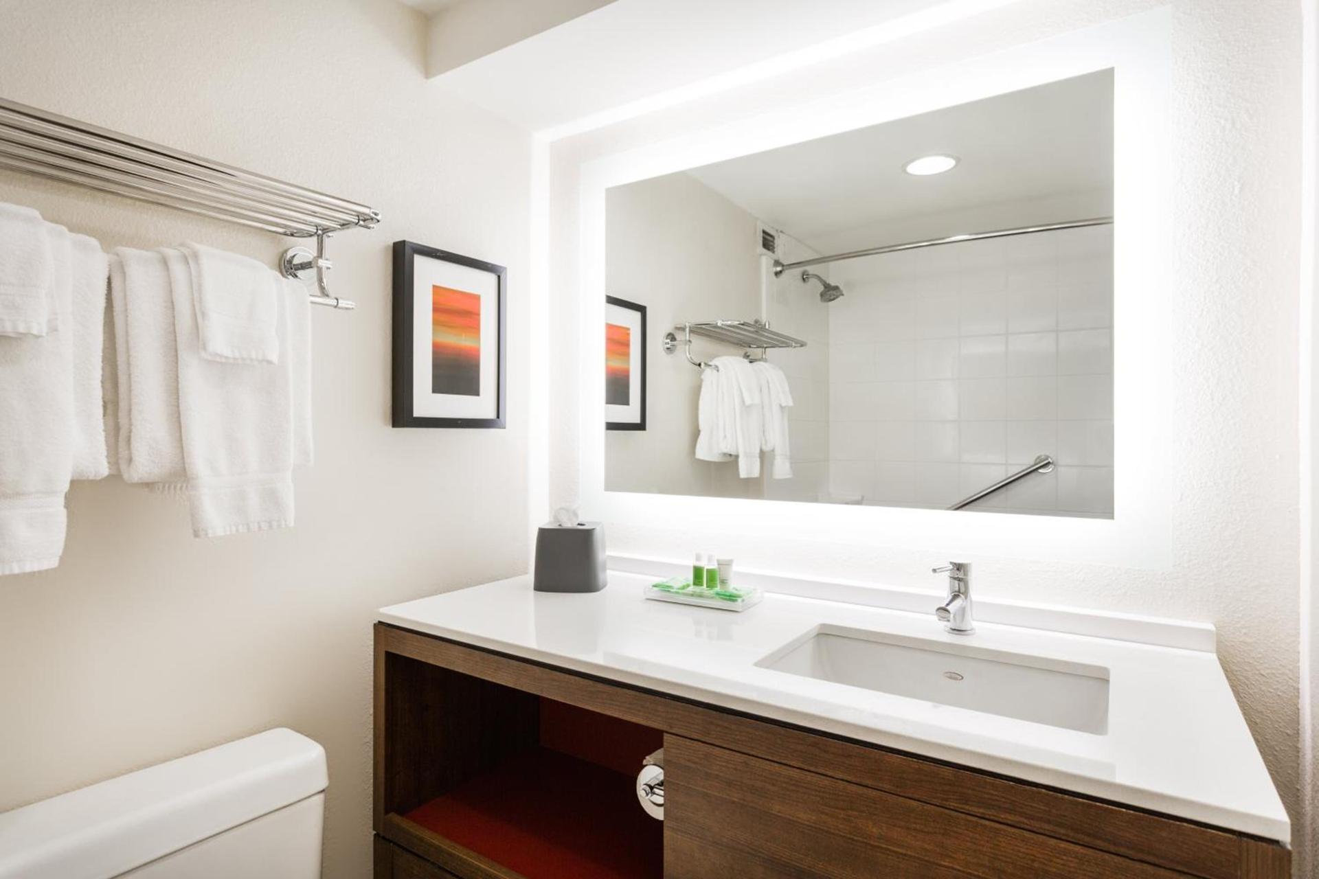 Holiday Inn Timonium by IHG photo 18