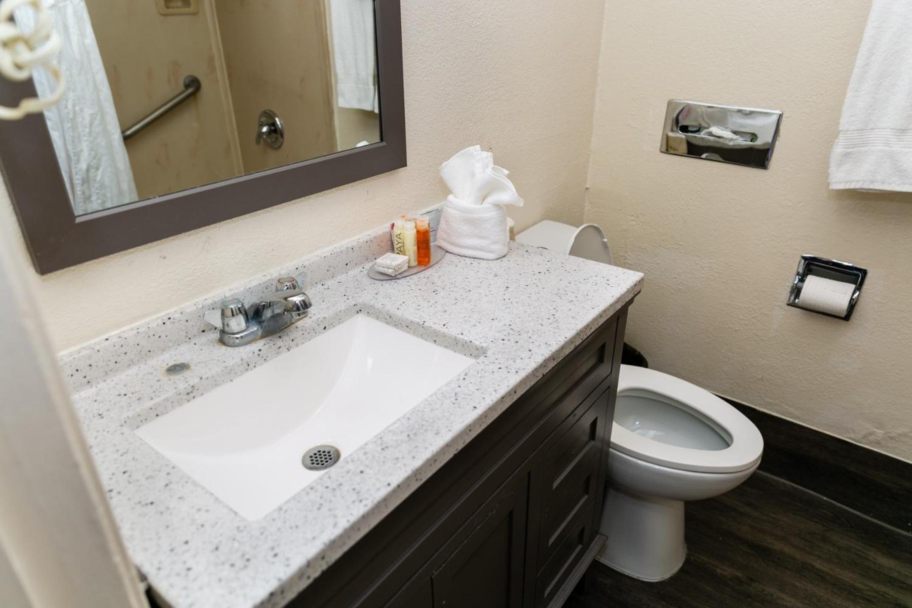 Anaheim Discovery Inn and Suites photo 36