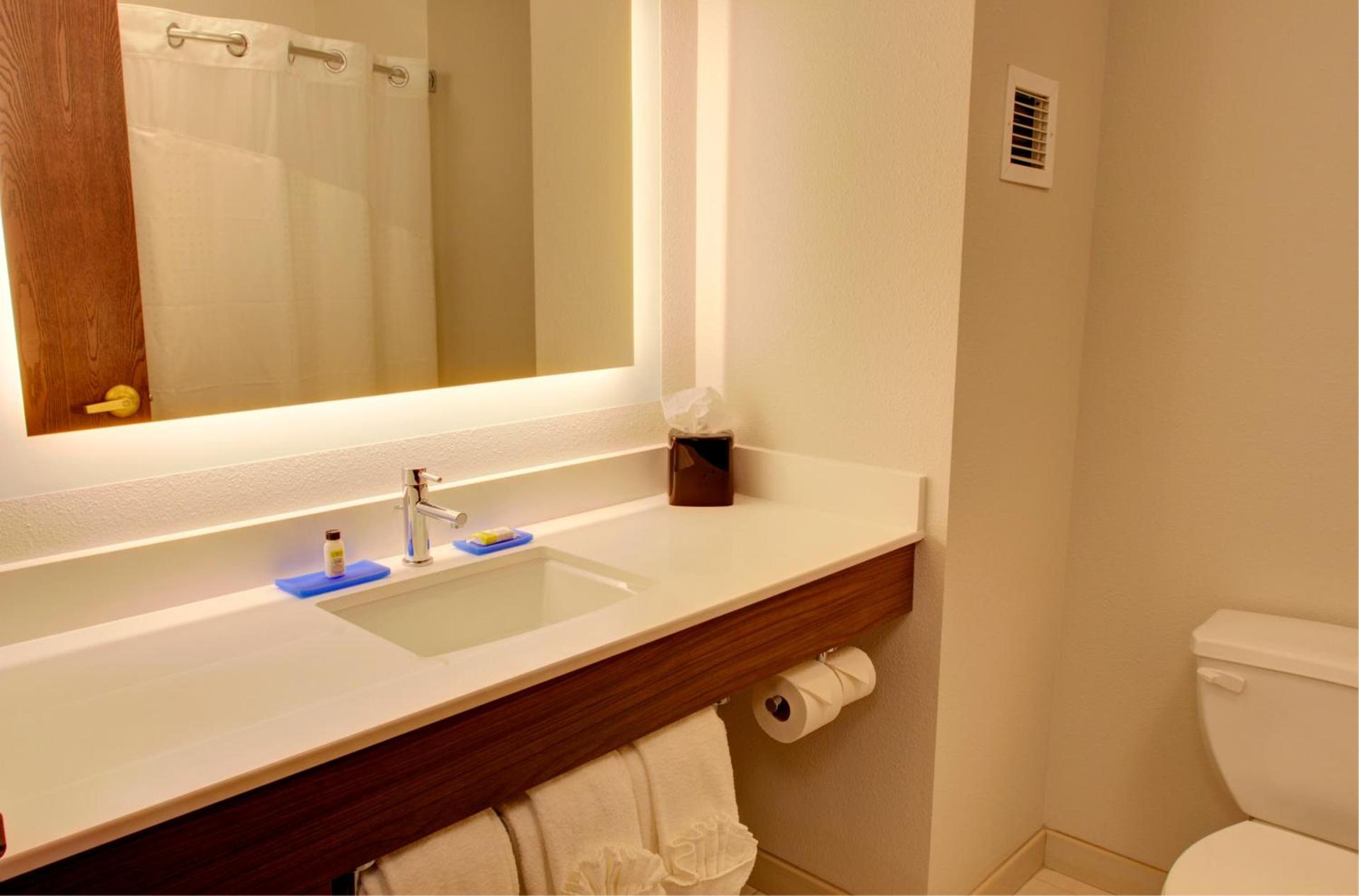 Holiday Inn Express & Suites Le Mars by IHG photo 21