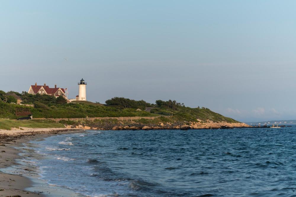 Treehouse Lodge photo 12
