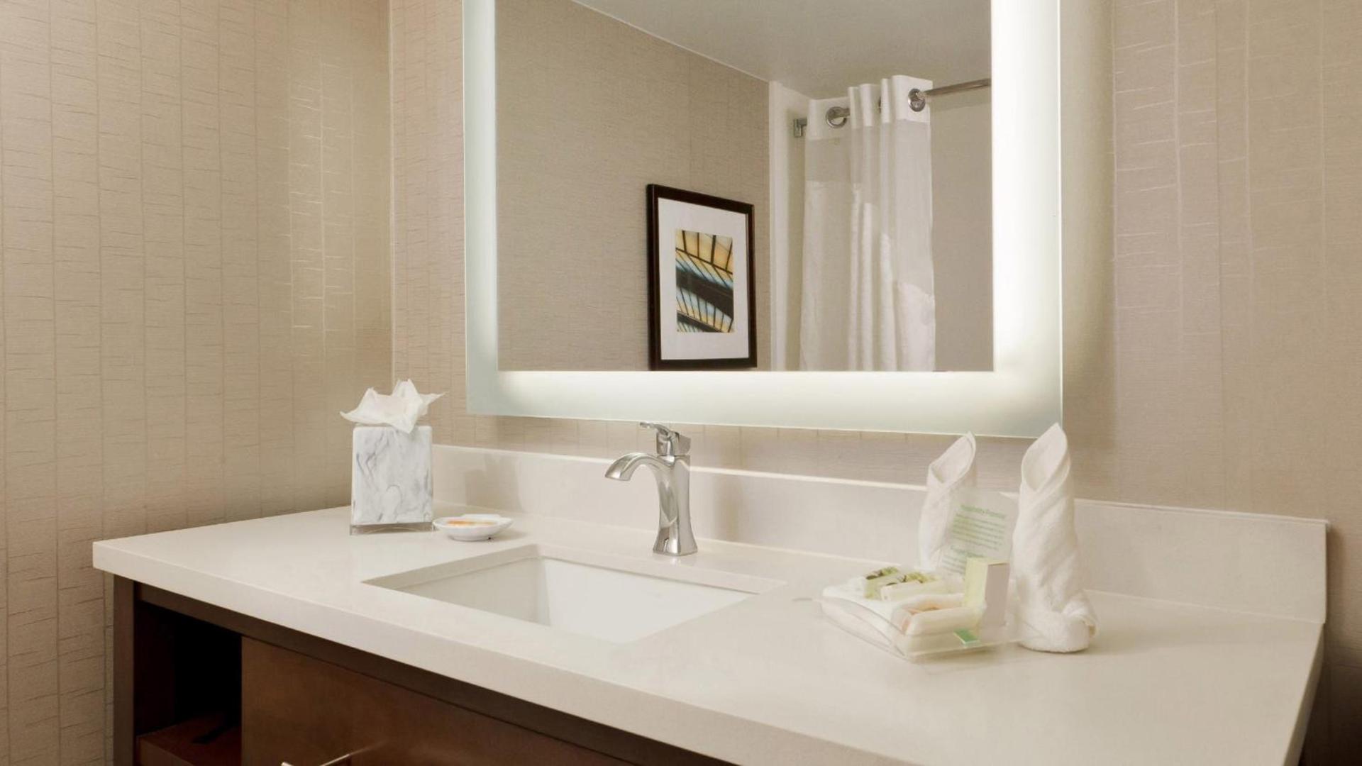 Holiday Inn San Antonio-Riverwalk by IHG photo 43