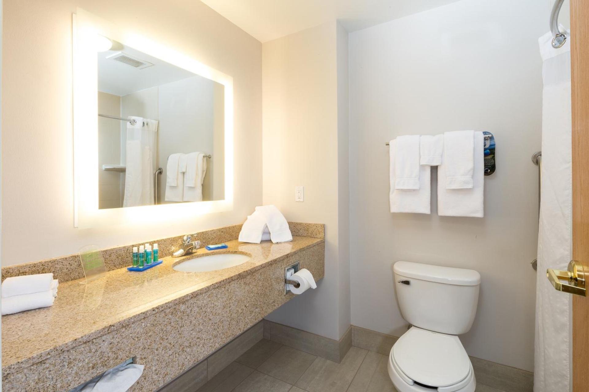 Holiday Inn Express Hotel & Suites Detroit-Utica by IHG photo 23