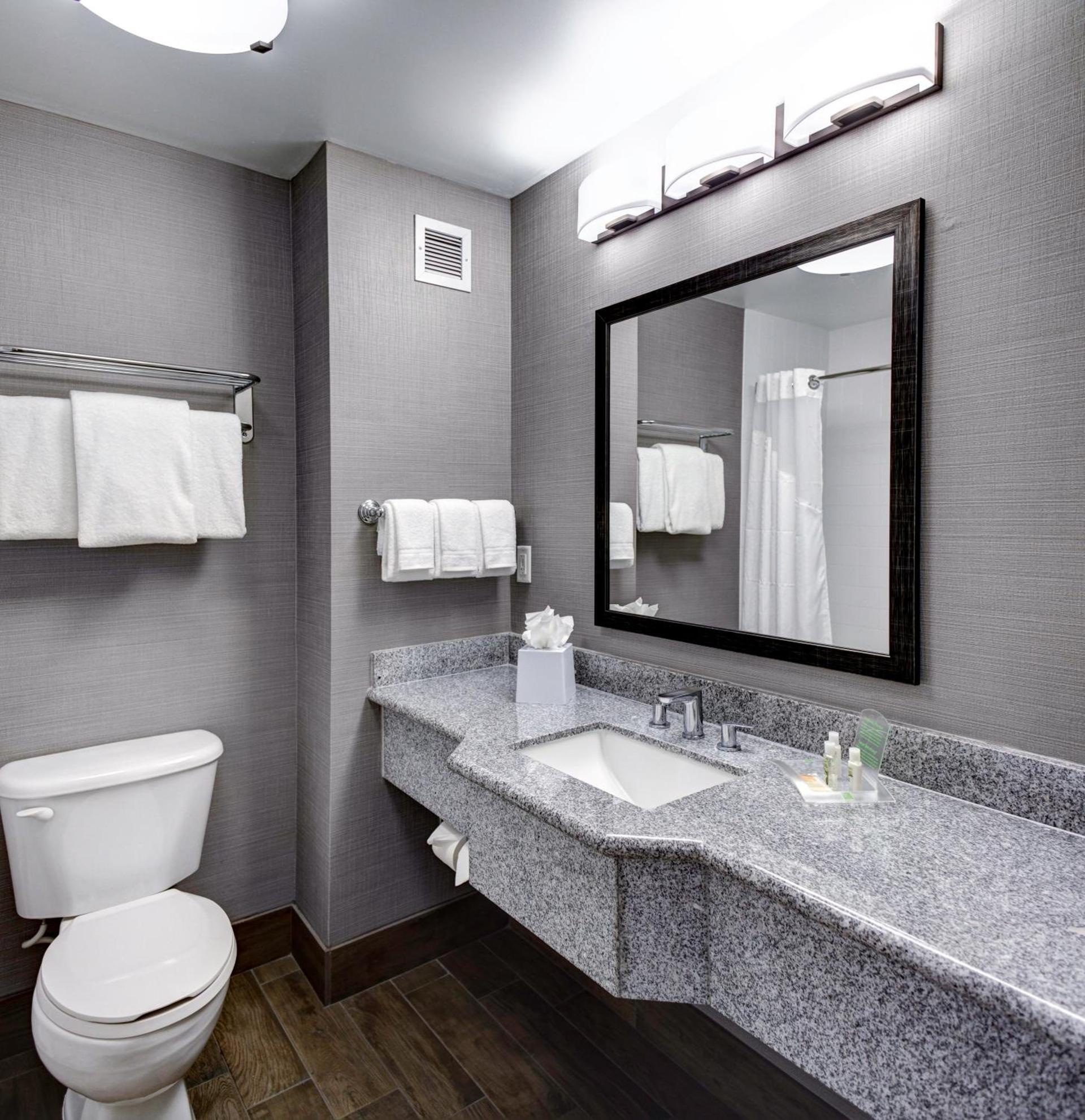 Holiday Inn Savannah Historic District by IHG photo 30