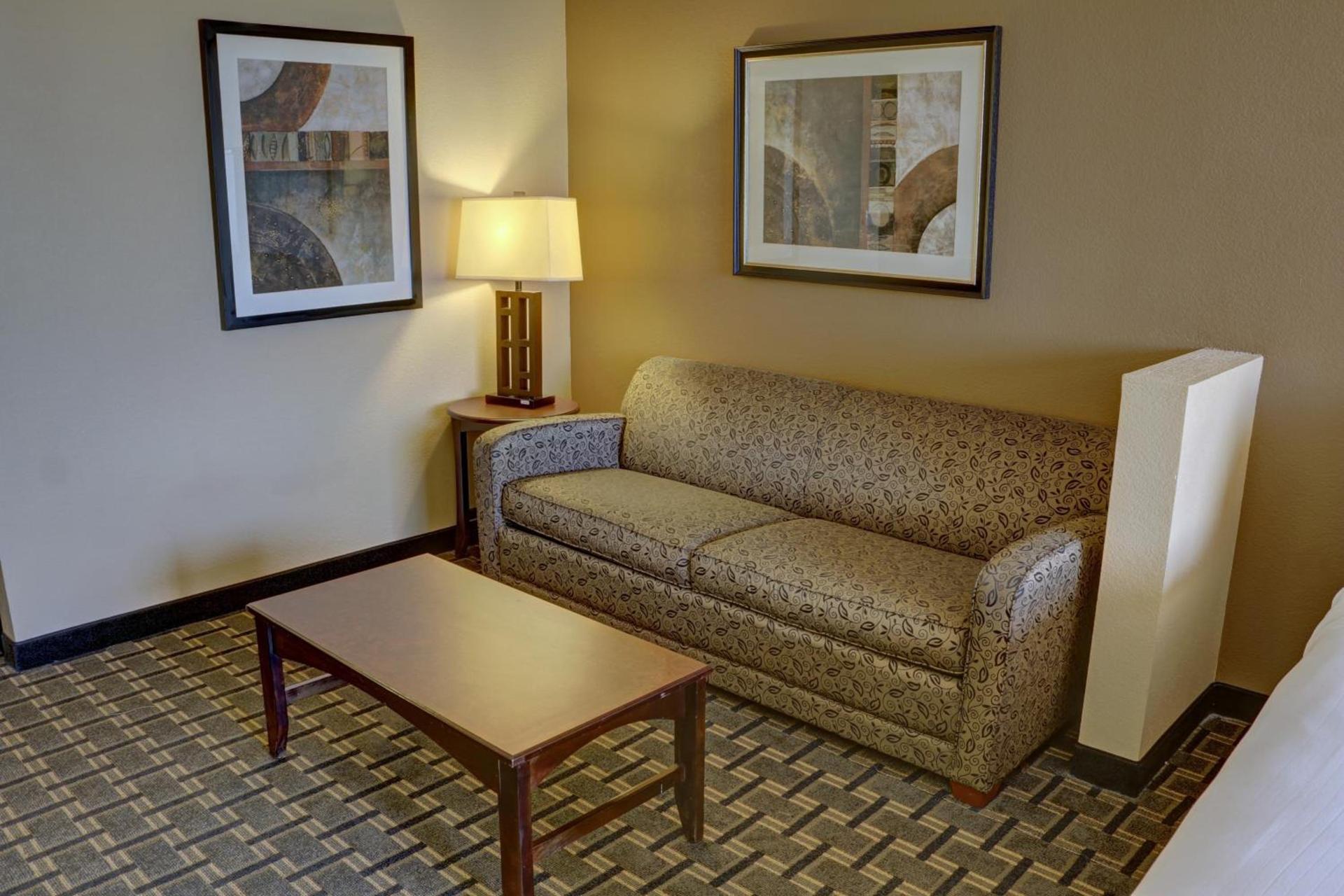 Holiday Inn Express Hotel & Suites Texarkana East by IHG photo 43