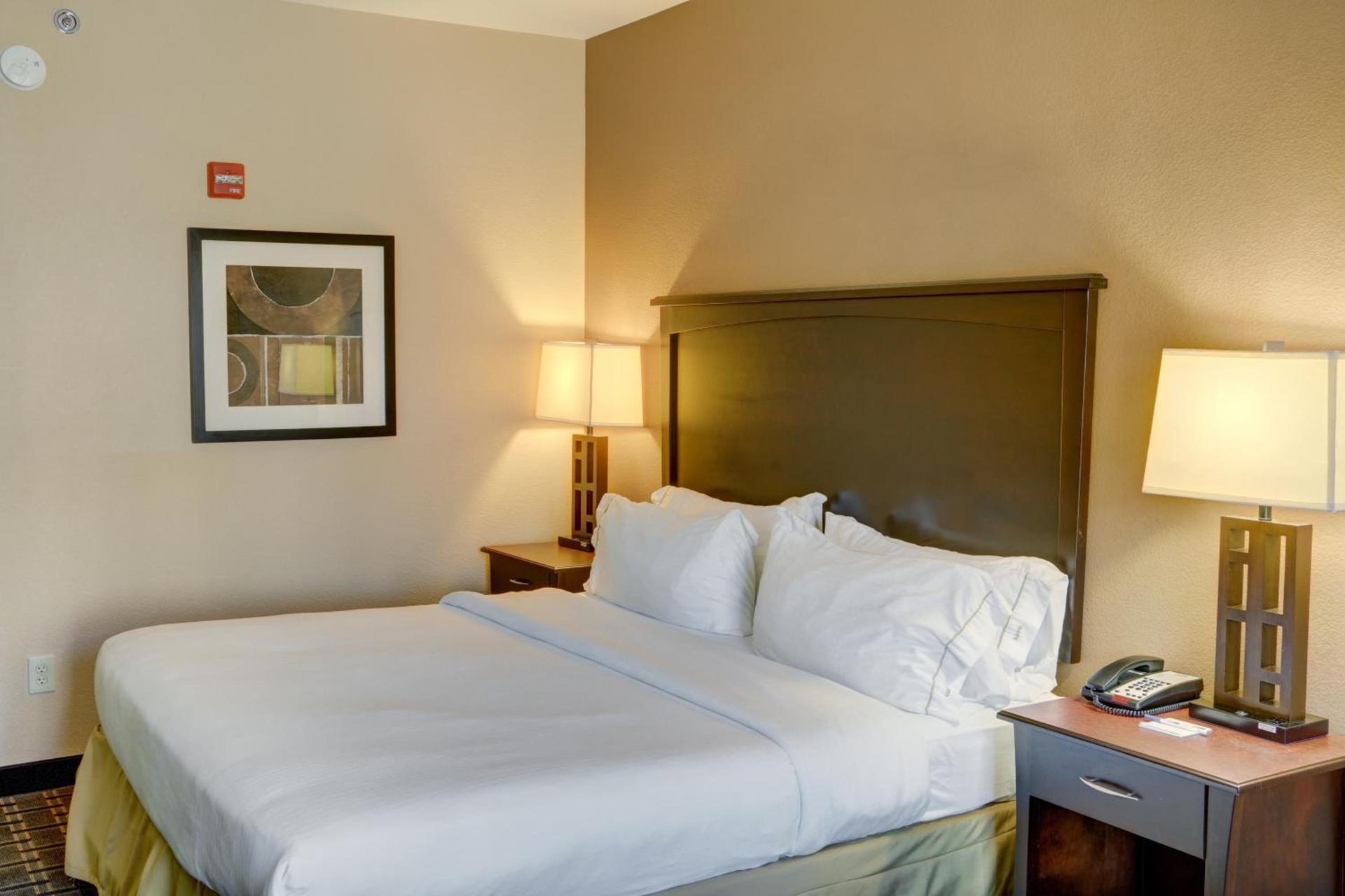 Holiday Inn Express Hotel & Suites Texarkana East by IHG photo 39
