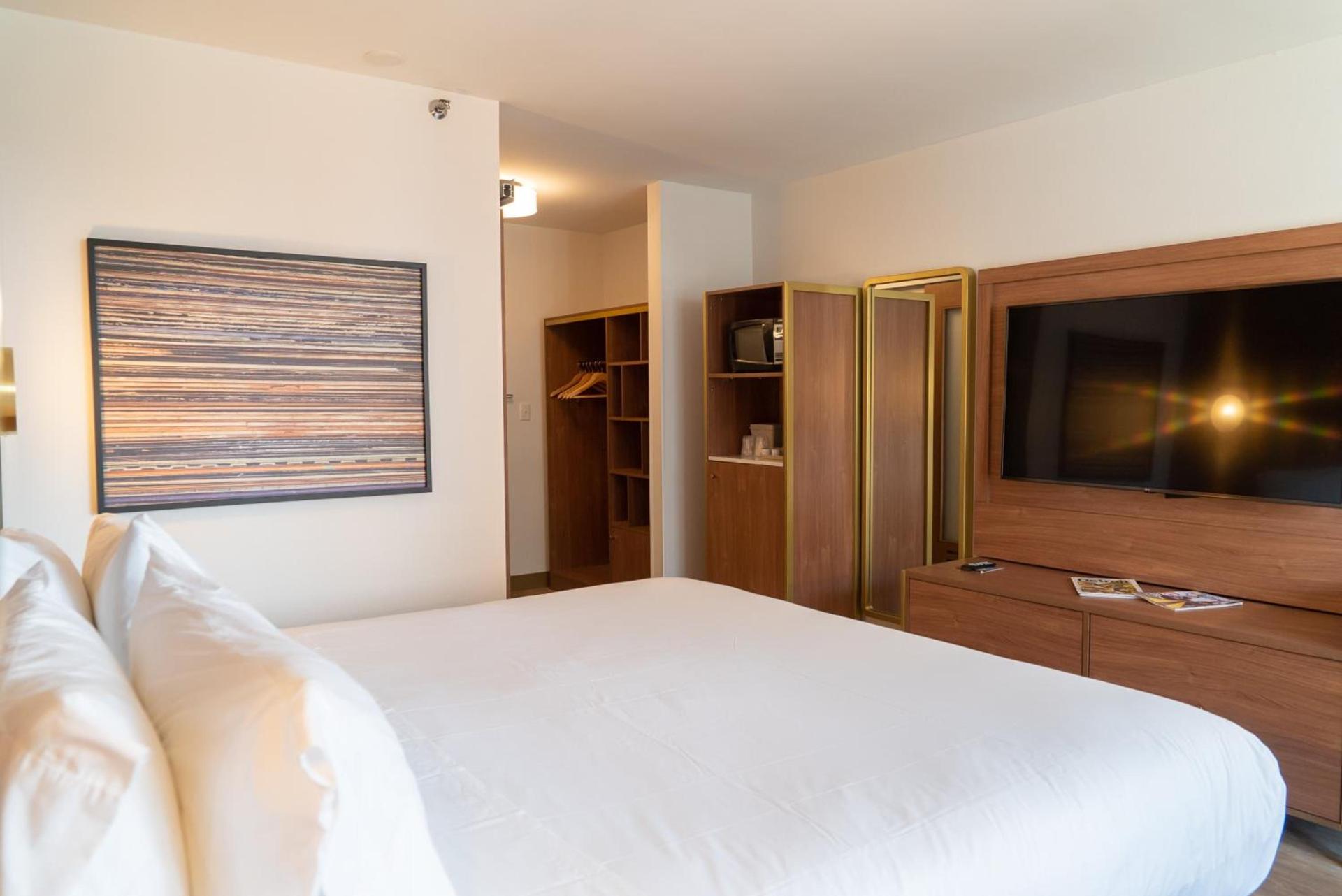 Hotel Indigo Detroit Downtown by IHG photo 50