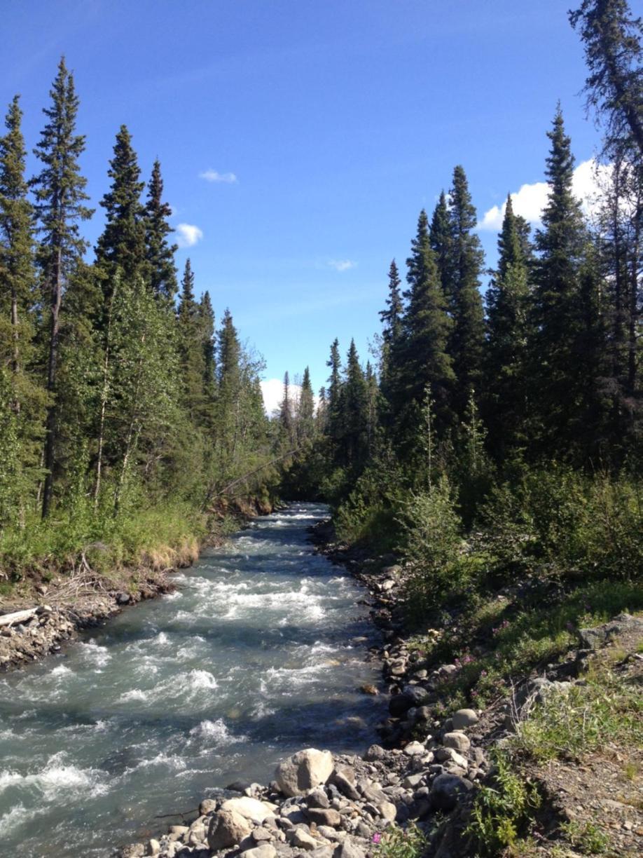 Carlo Creek Cabins photo 47