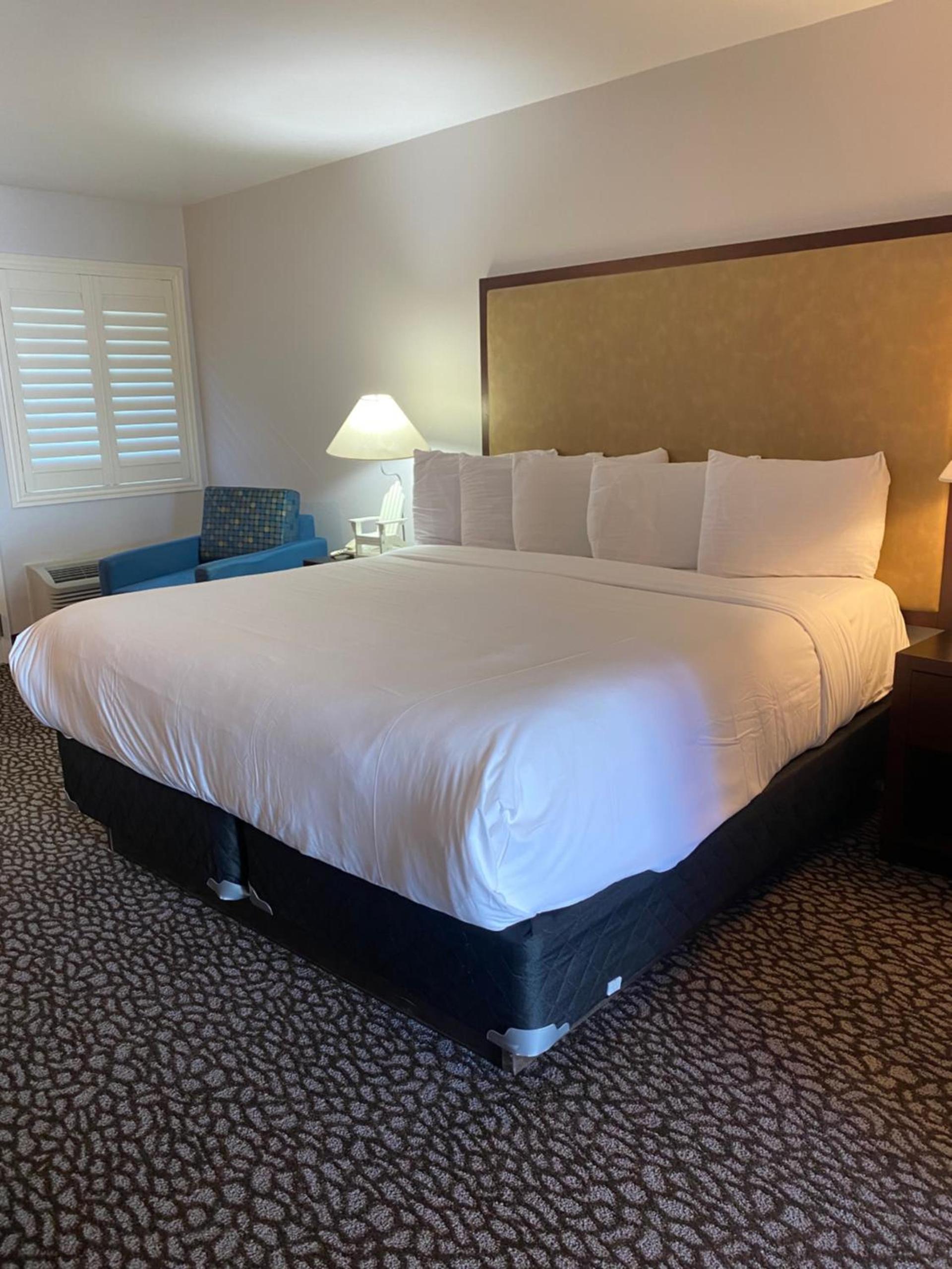 Morro Shores Inn And Suites photo 31
