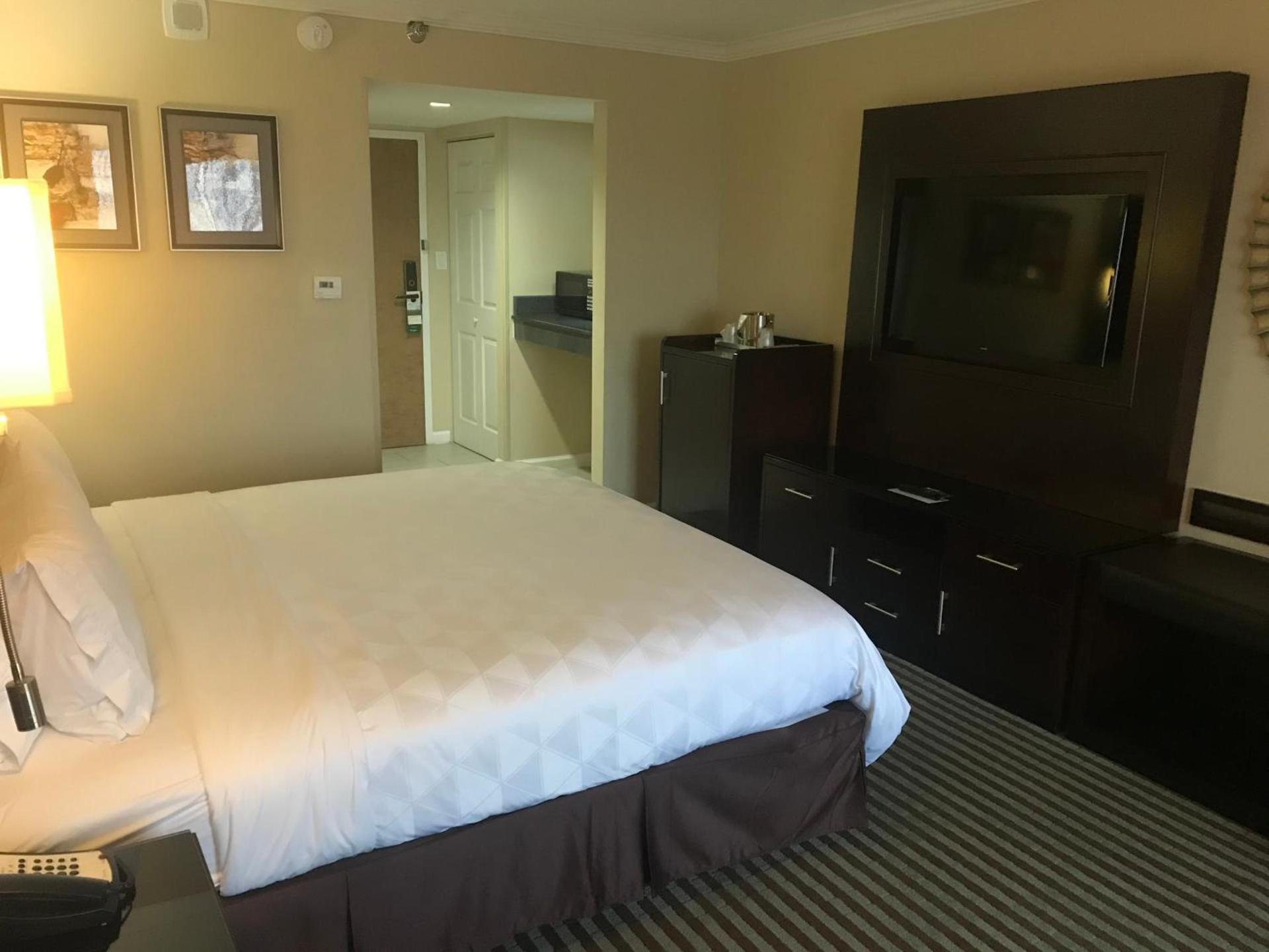Holiday Inn Orlando East-UCF Area by IHG photo 8