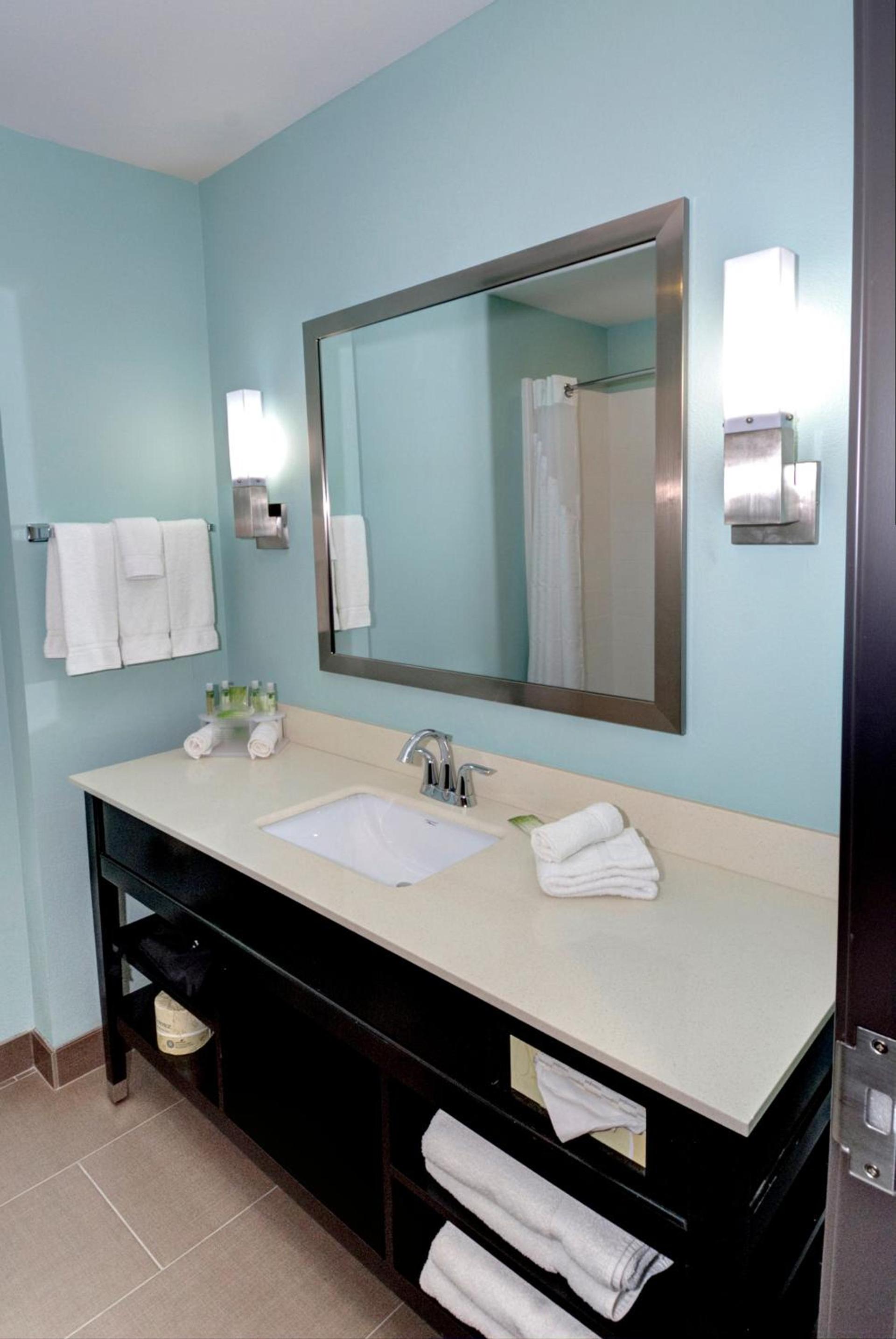 Holiday Inn Express & Suites Austin South by IHG photo 31