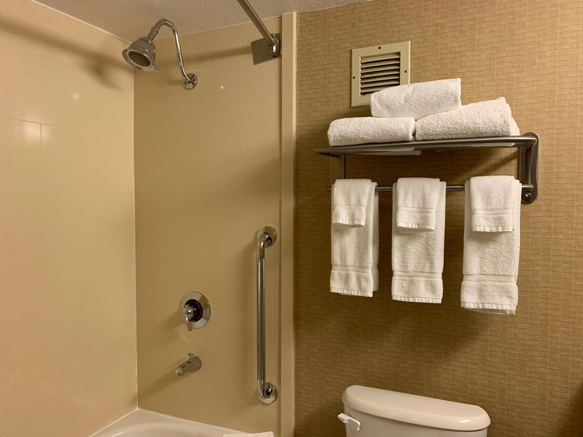 Holiday Inn Johnstown-Downtown by IHG photo 18