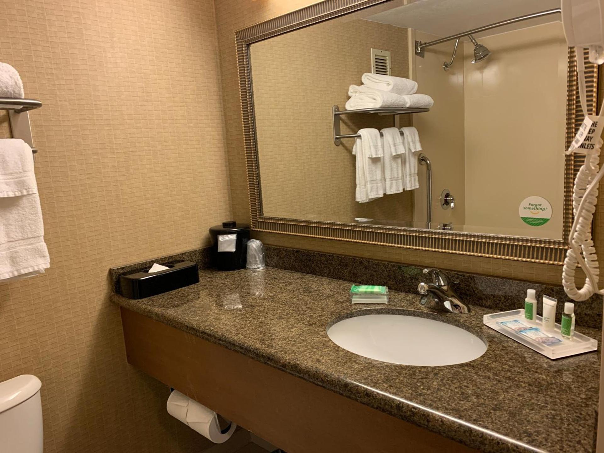Holiday Inn Johnstown-Downtown by IHG photo 22