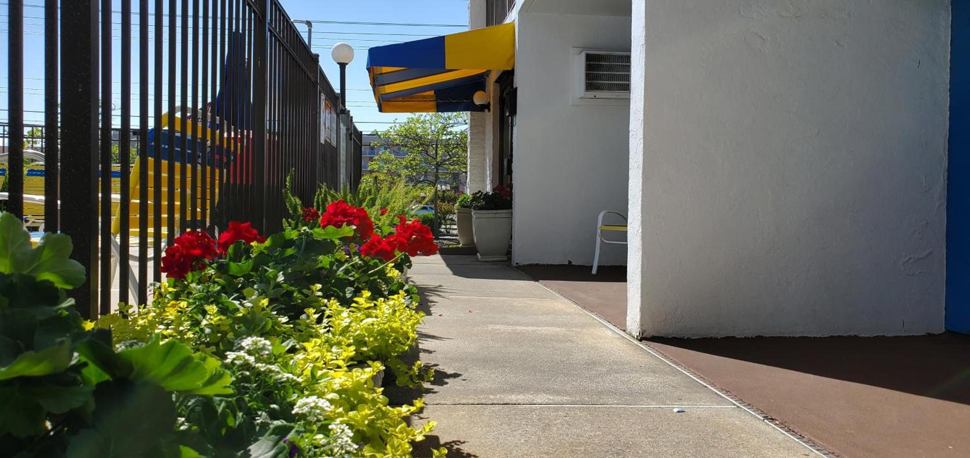 Sea Hawk Motel photo 2