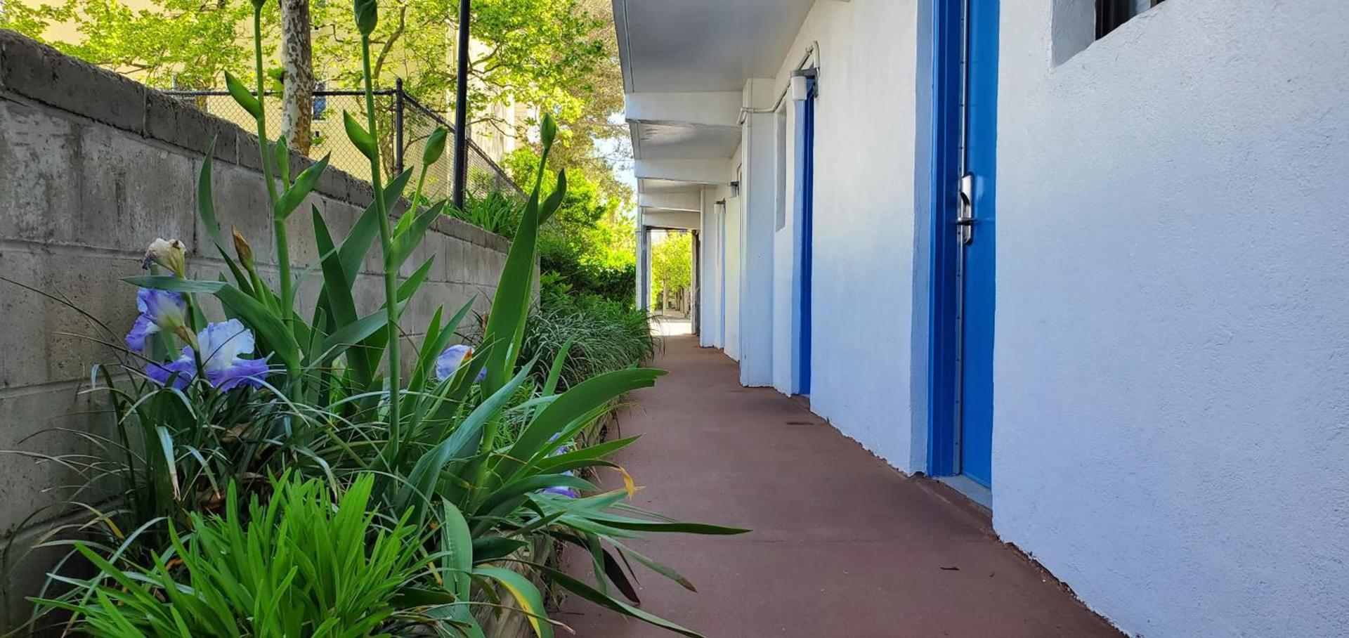 Sea Hawk Motel photo 4