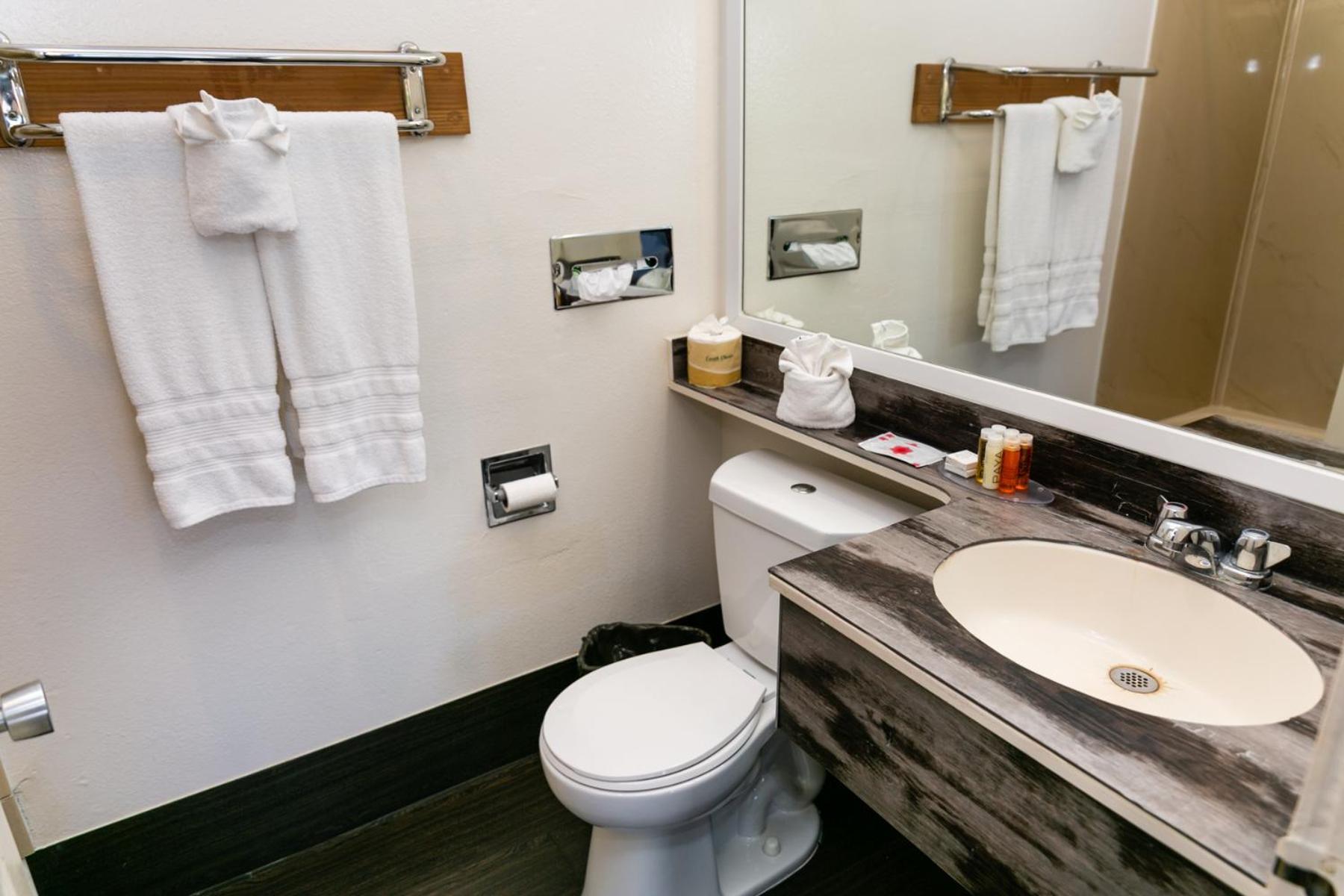 Anaheim Discovery Inn and Suites photo 14