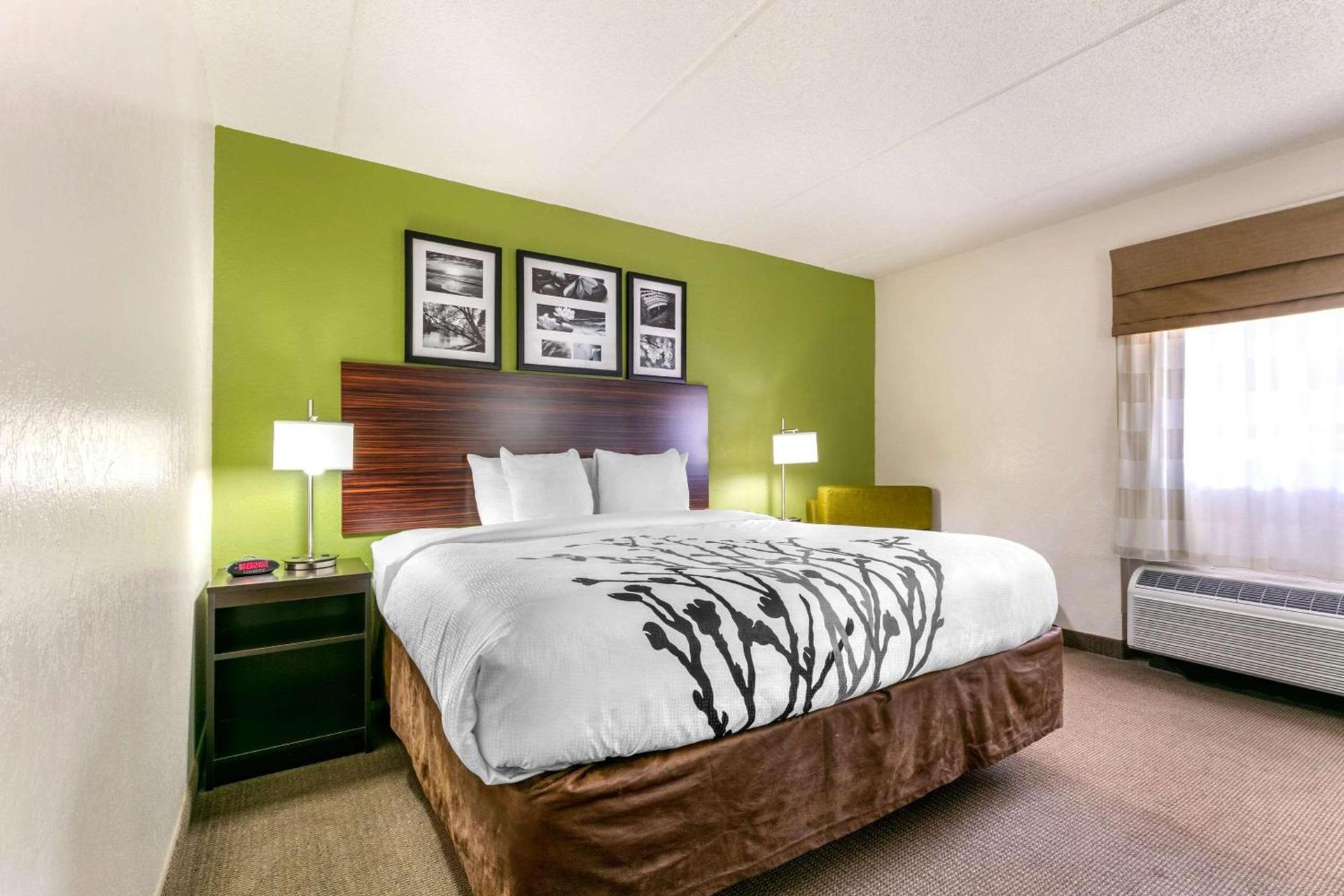 Sleep Inn & Suites near Sports World Blvd photo 5