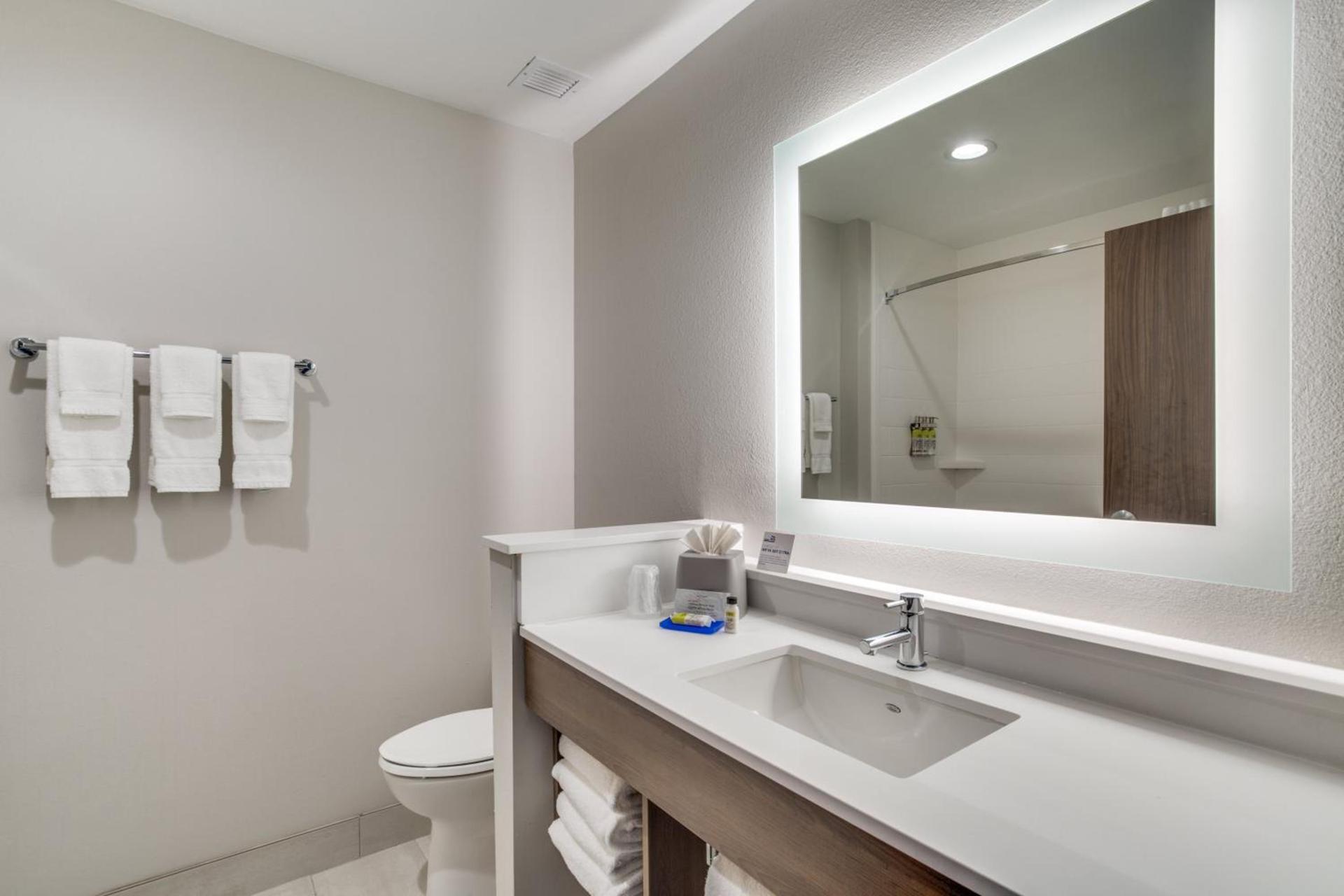 Holiday Inn Express & Suites - Denton South by IHG photo 46