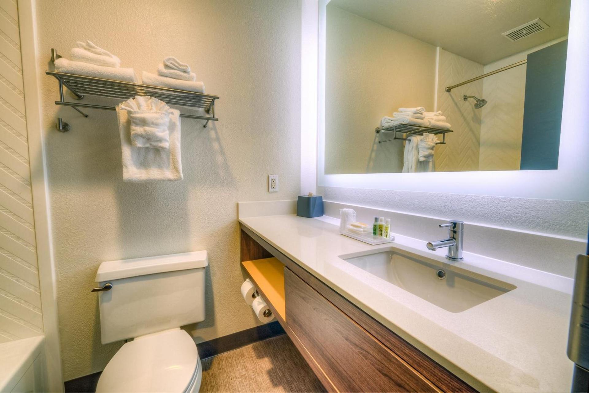 Holiday Inn Tacoma Mall by IHG photo 11