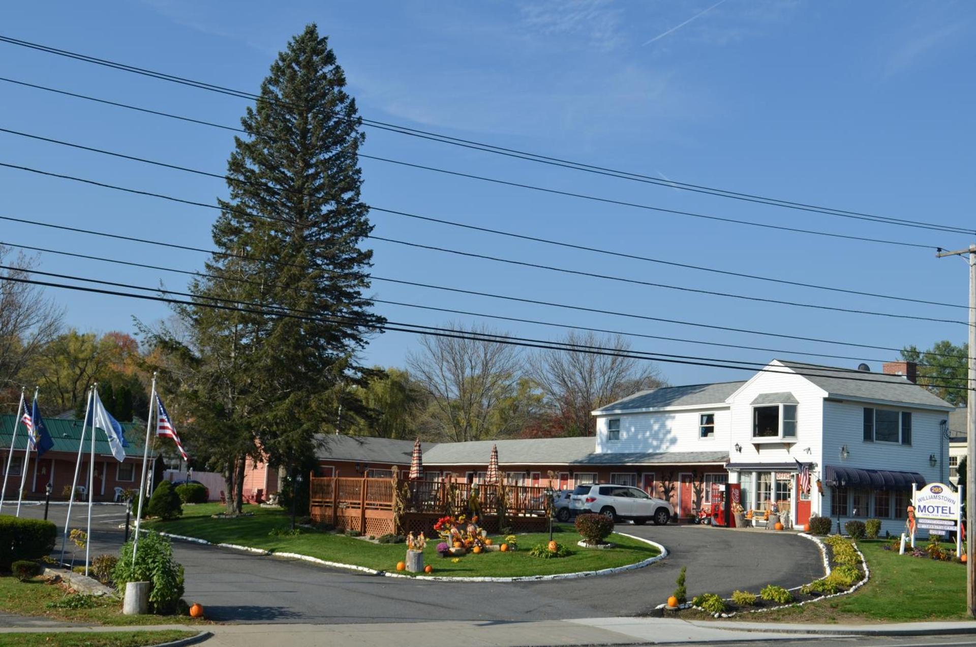 Williamstown Motel photo 10