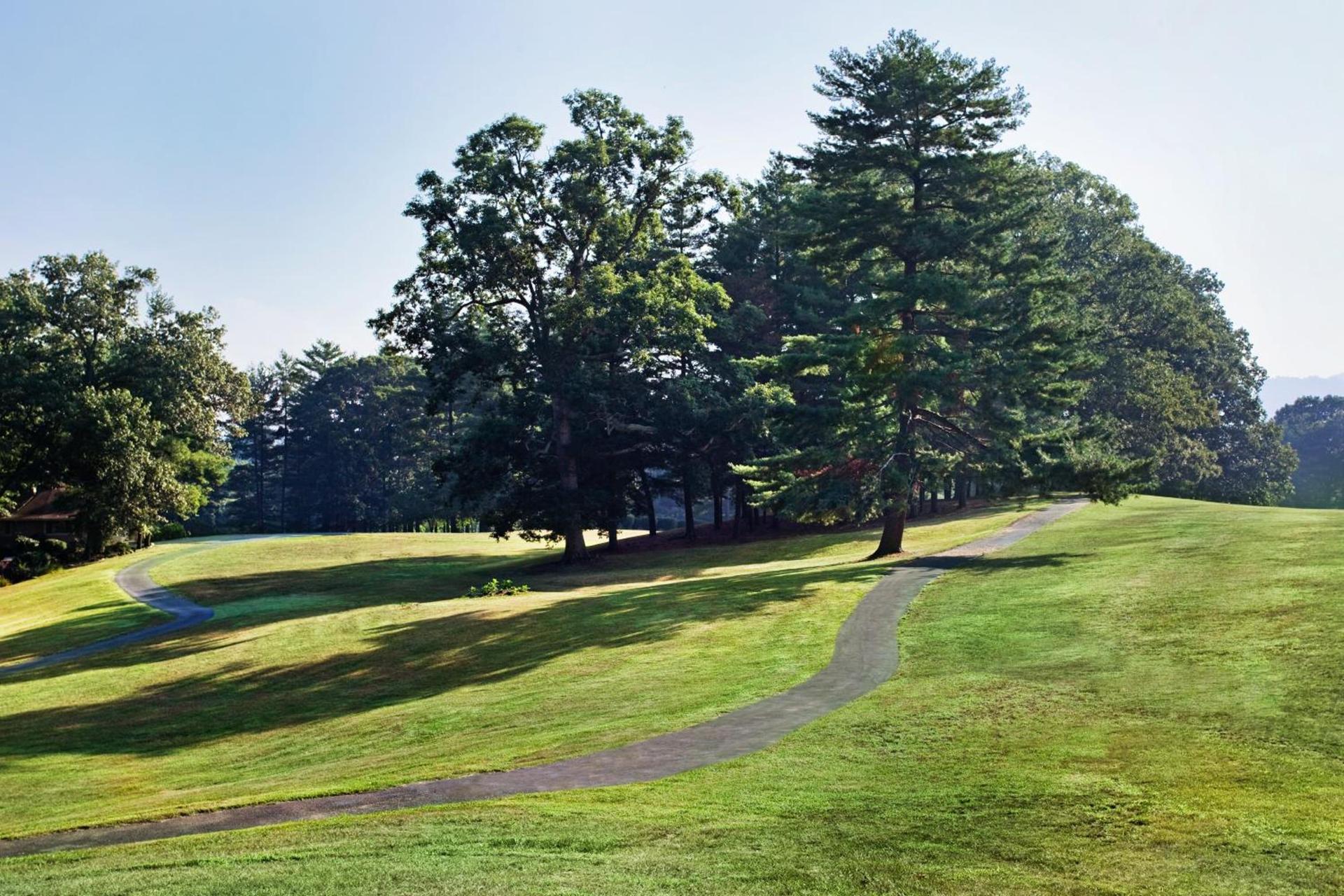Crowne Plaza Resort Asheville by IHG photo 11