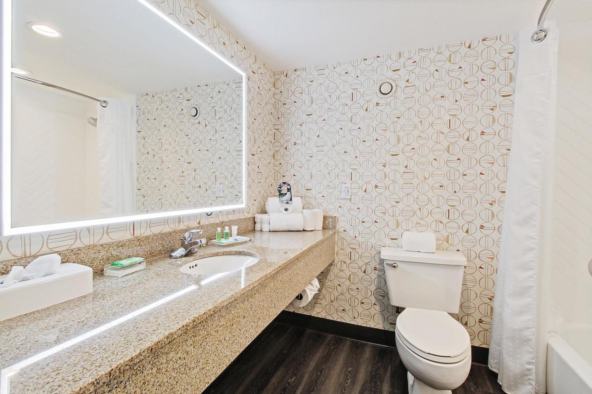 Holiday Inn Chicago Nw Crystal Lk Conv Ctr by IHG photo 32