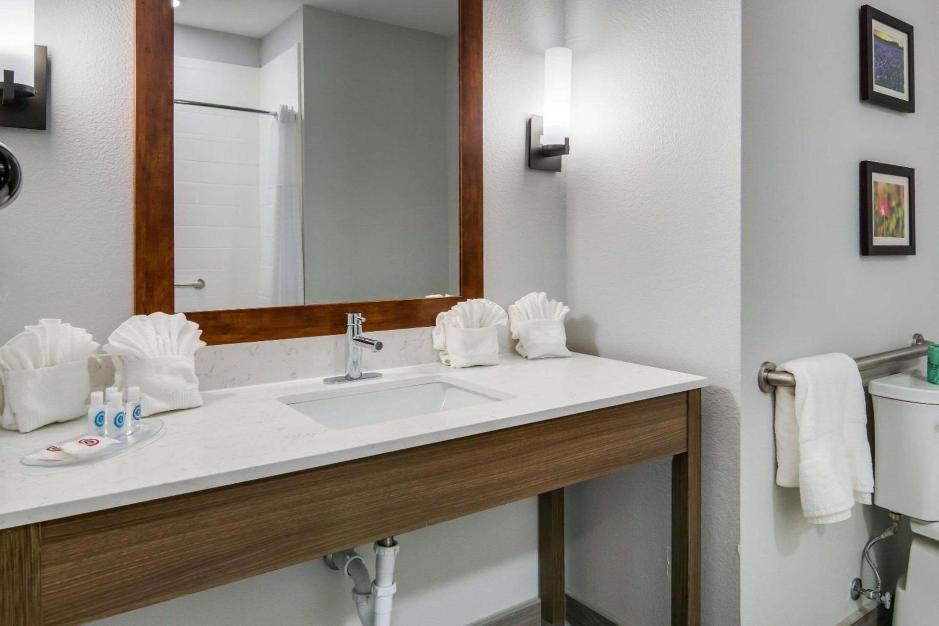 Comfort Suites DeSoto Dallas South photo 24